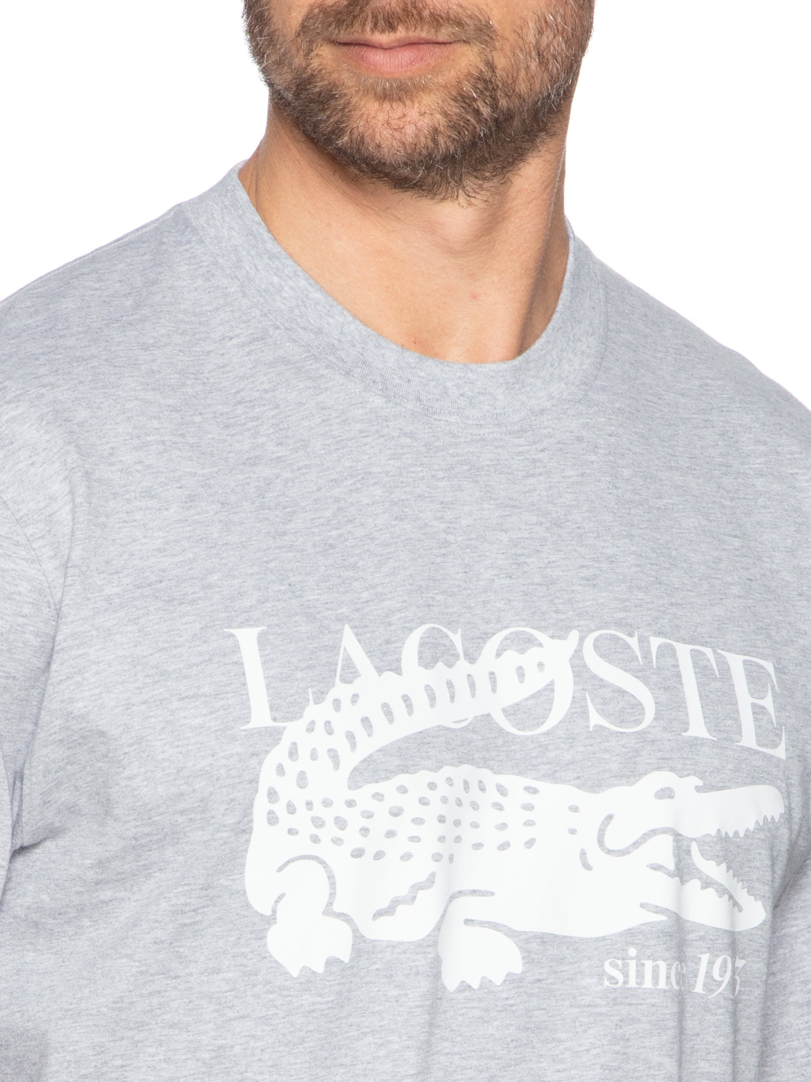 Camiseta Masculina Classic Fit Estampa Crocodilo Cinza Lacoste