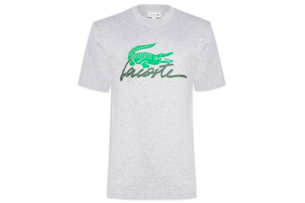 Camiseta Masculina Classic Fit Foundation Date Em Algodão - Cinza