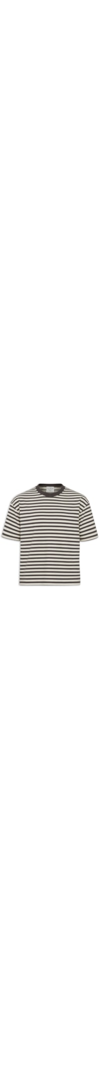Camiseta Masculina Cropped Fit Listrada – Marrom