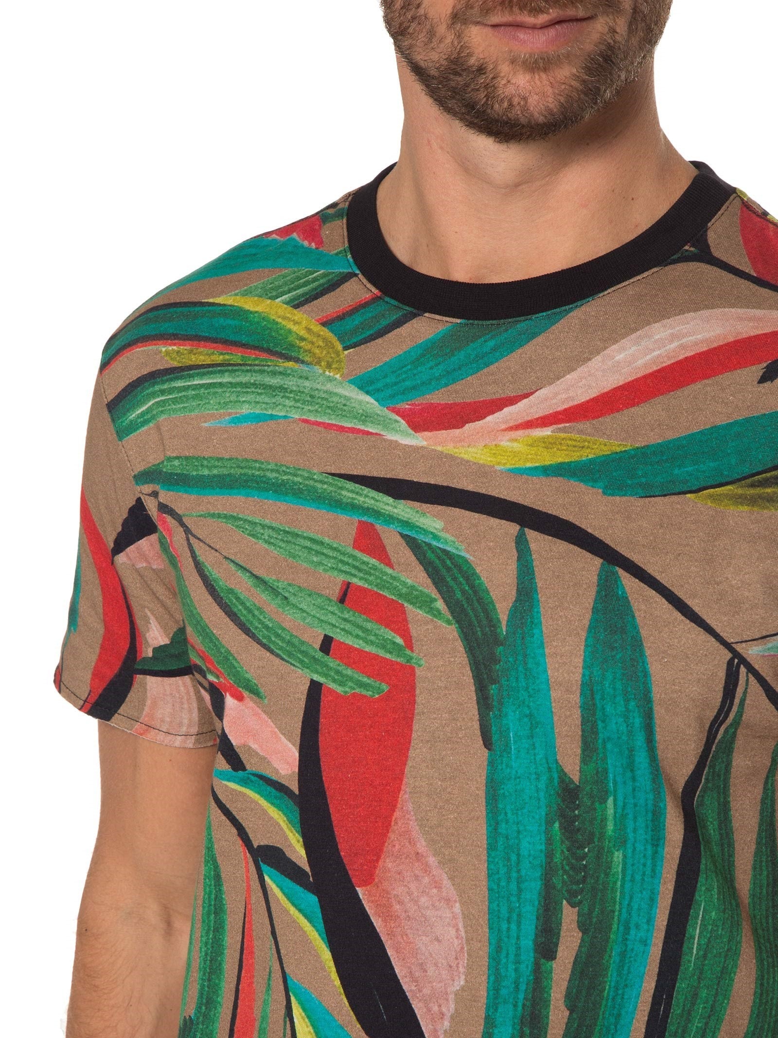 Camiseta Masculina Double Palmeira Bege Osklen