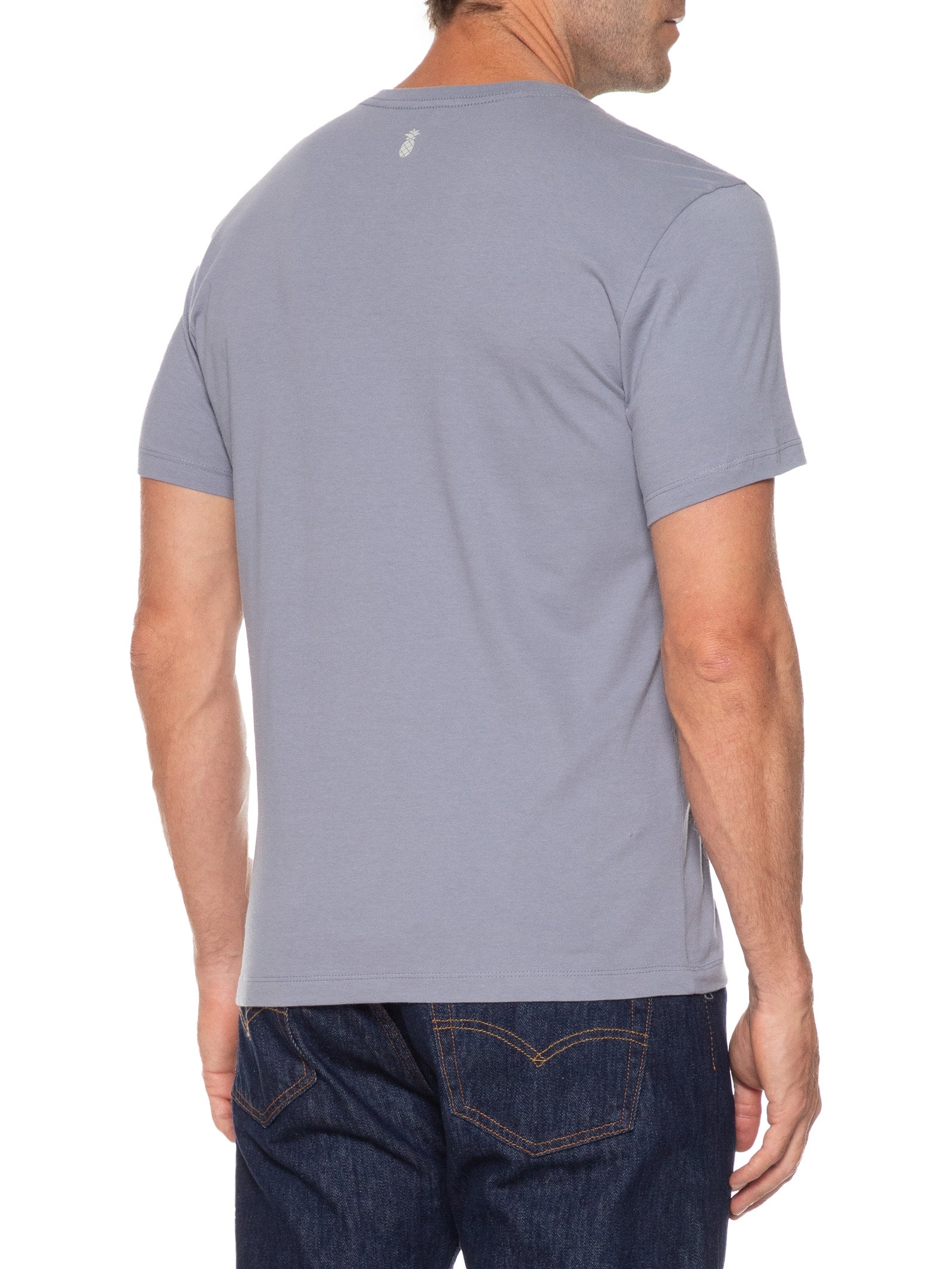 Camiseta Masculina Estampa Cote D'azur Azul Pineapple