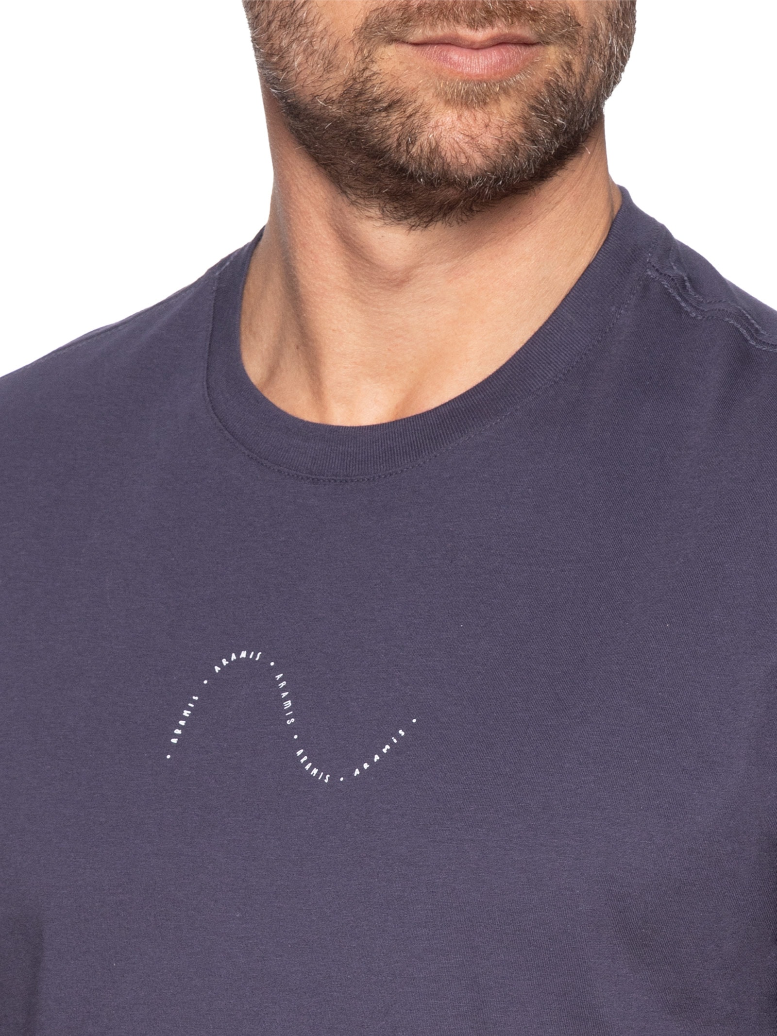 Camiseta Masculina Estampa Onda (PA) Azul Aramis