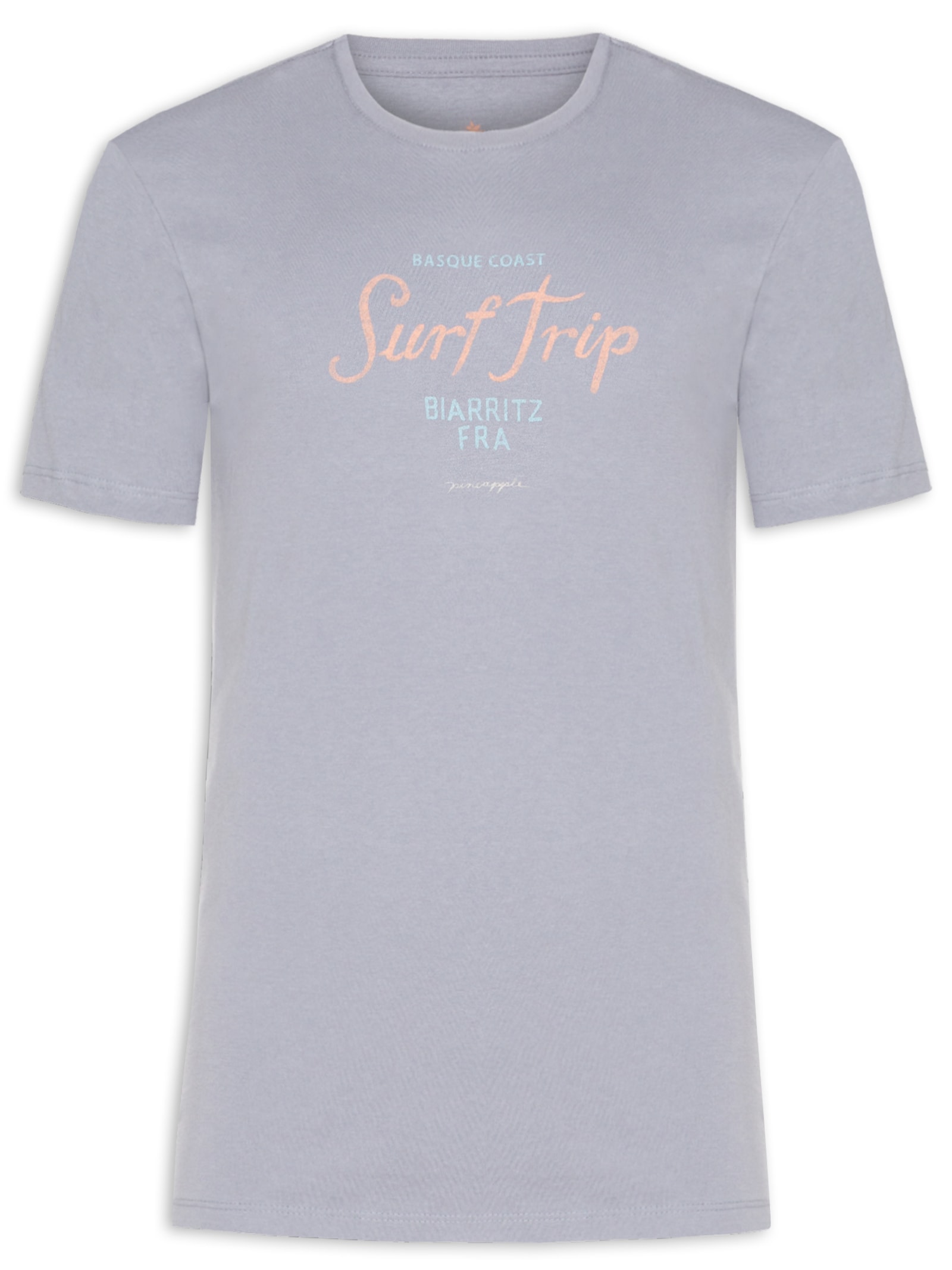 Camiseta Masculina Estampa Surf Trip Azul Pineapple