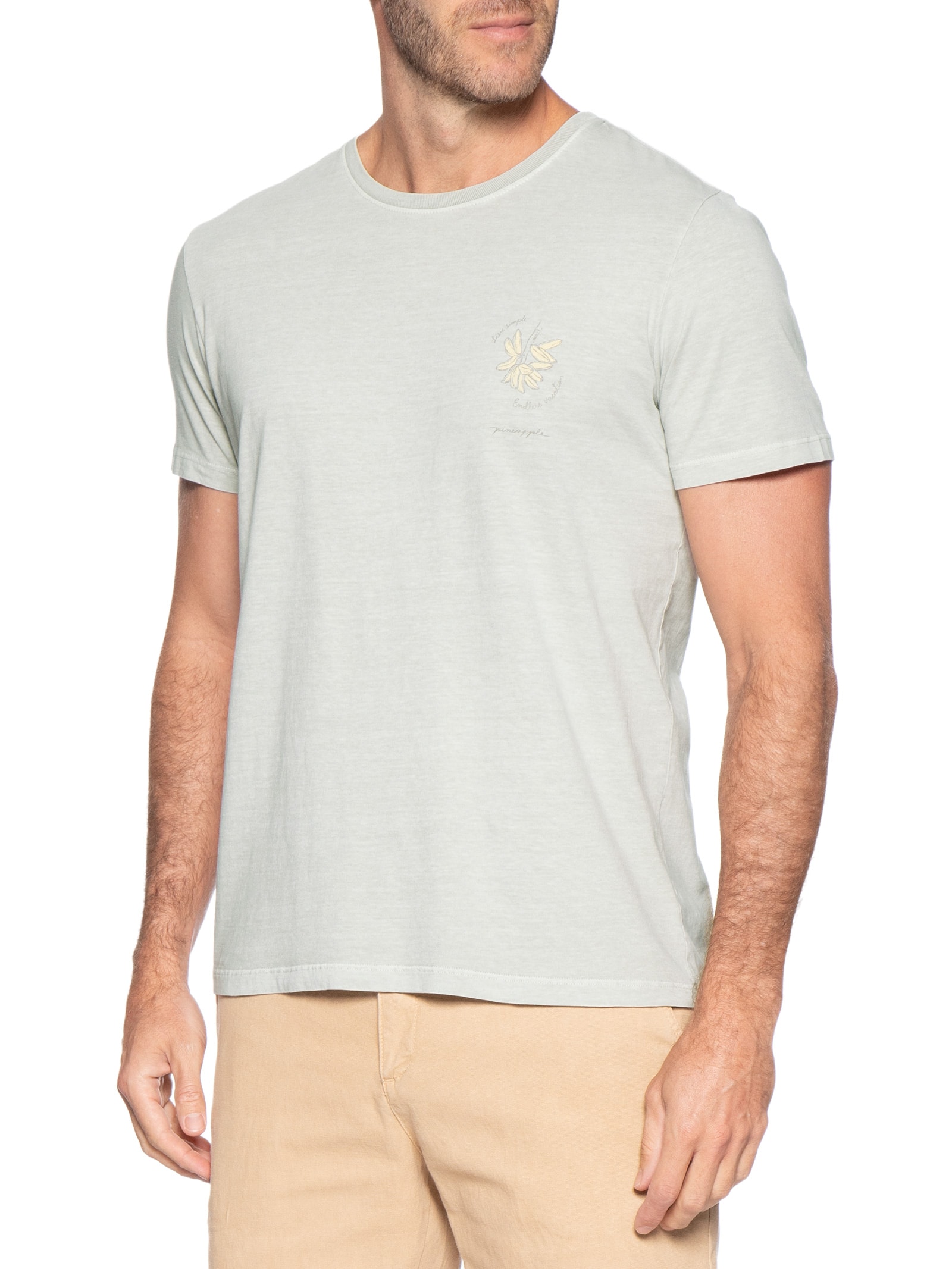 Camiseta Masculina Estampada Bananas Cinza Pineapple