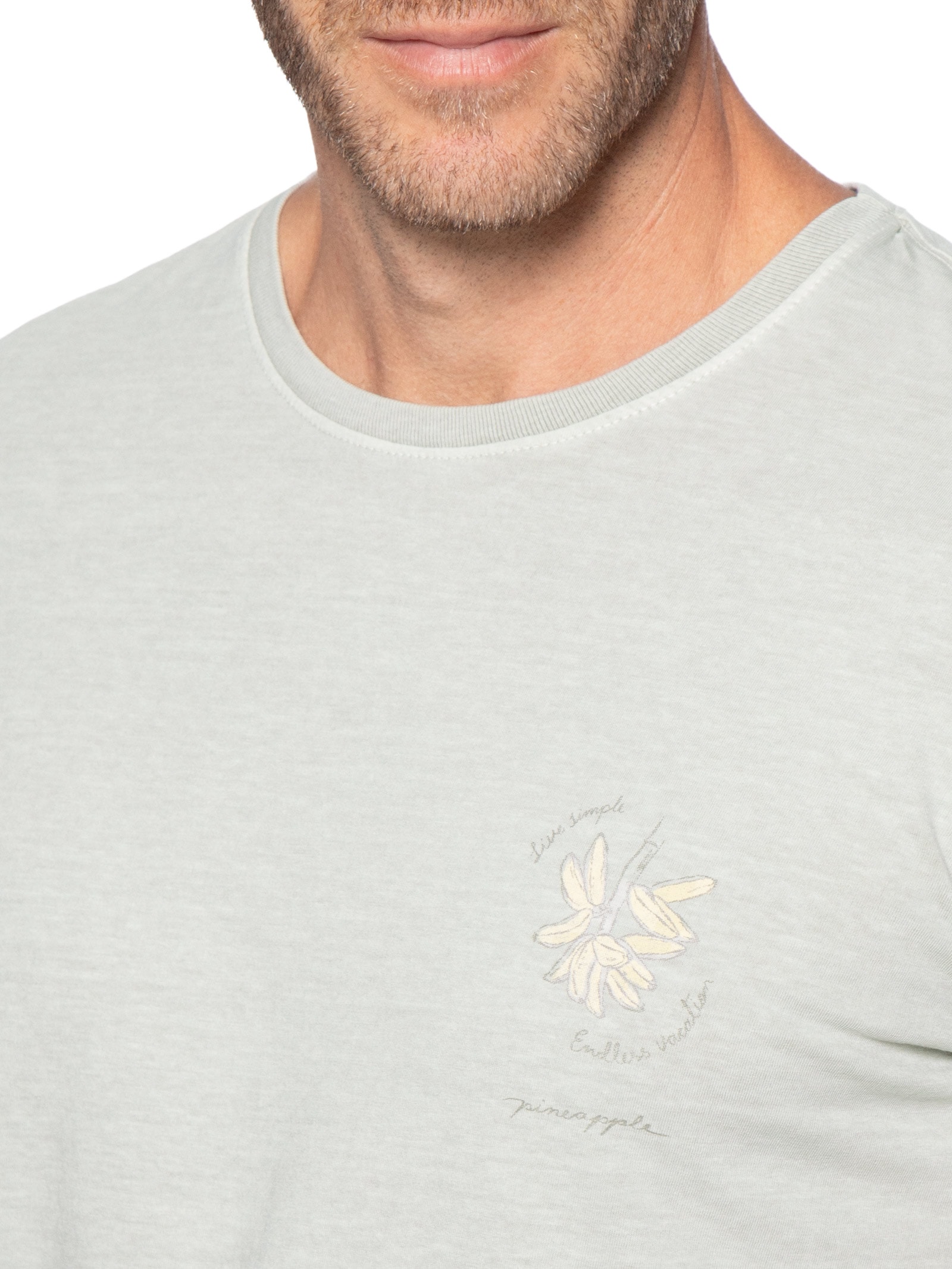 Camiseta Masculina Estampada Bananas Cinza Pineapple