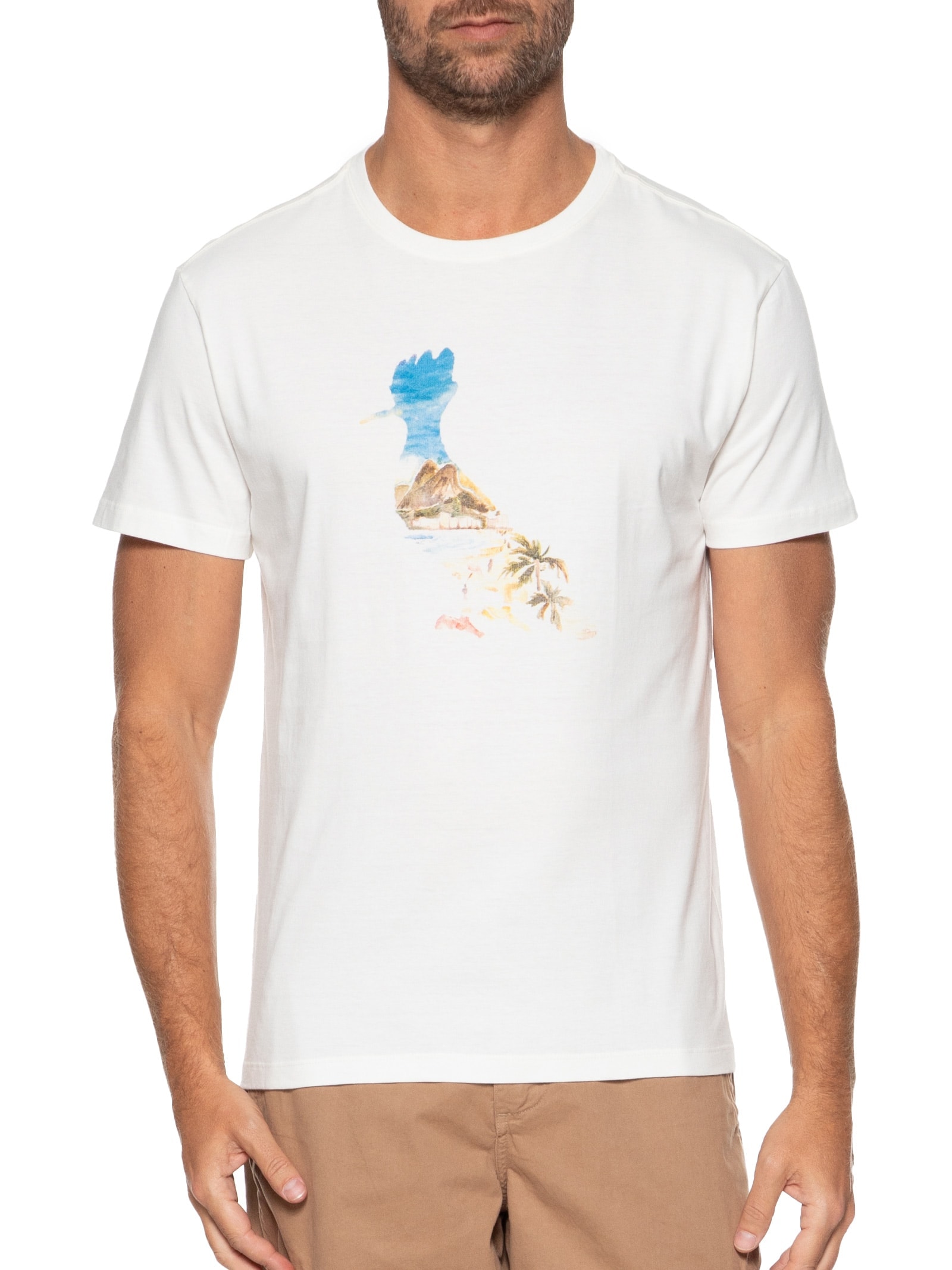 Camiseta Masculina Estampada Pica Pau Aquarela Ipa Off White Reserva