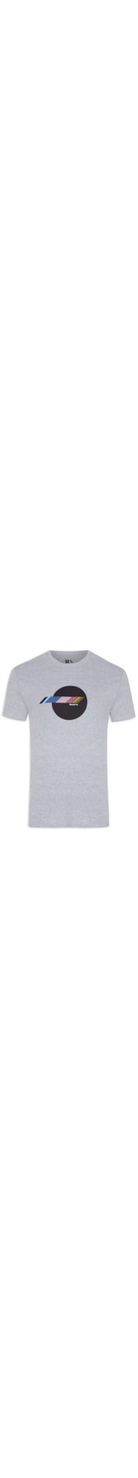 Camiseta Masculina Estampada Stripes Circle - Cinza
