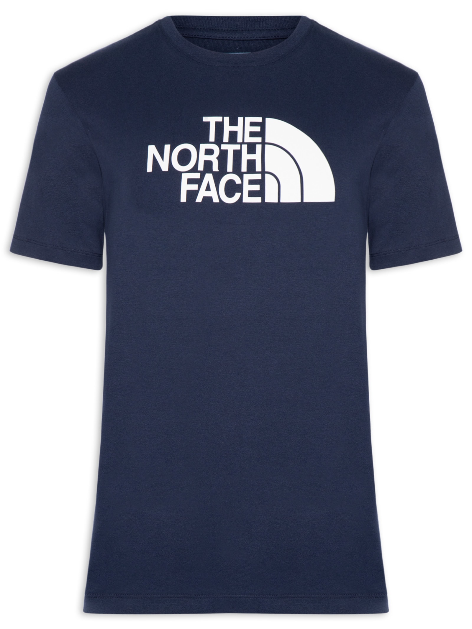 Camiseta Masculina Evolution Half Dome Azul The North Face