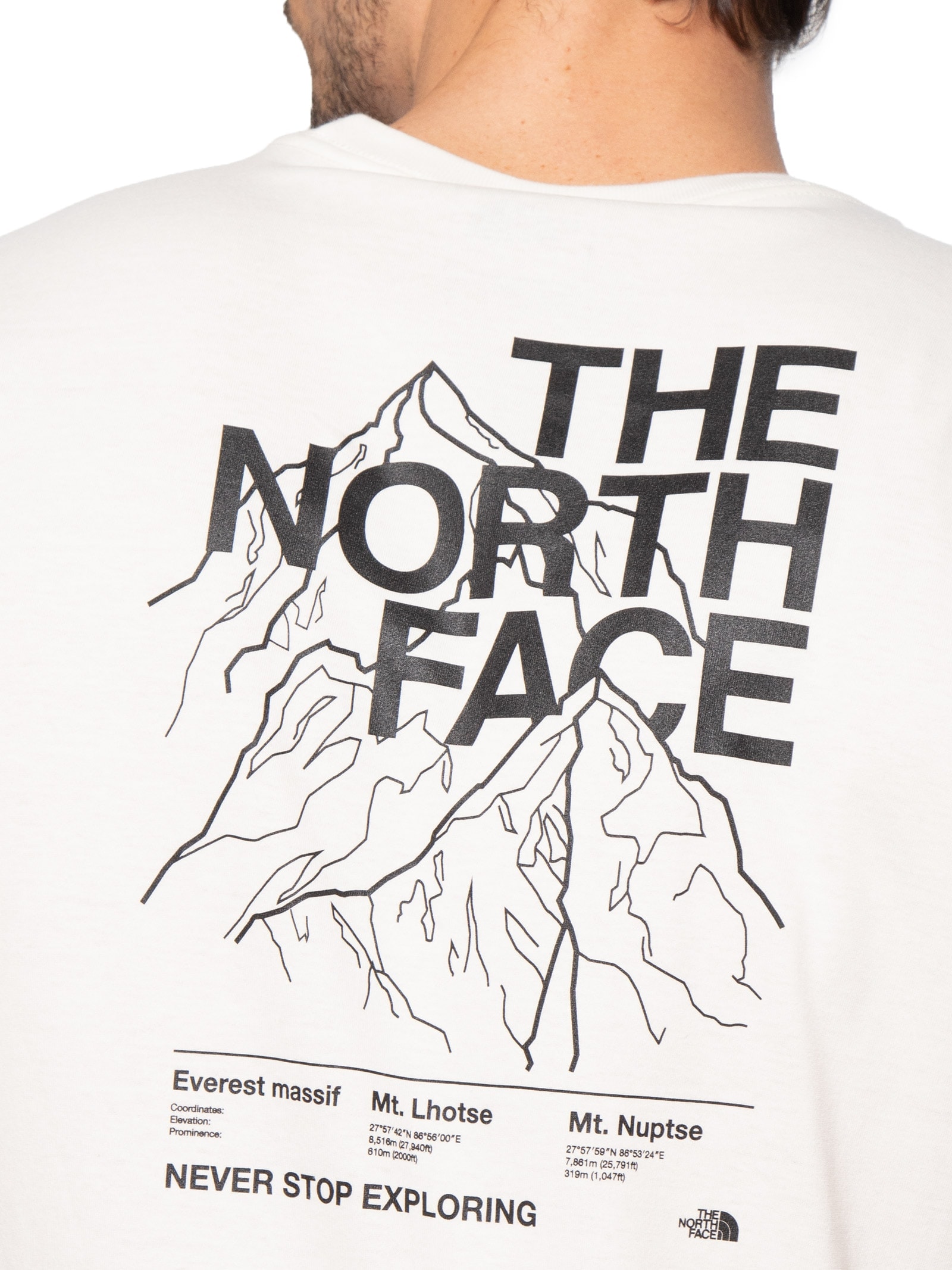 Camiseta Masculina Evolution Half Dome Mtn Branco The North Face