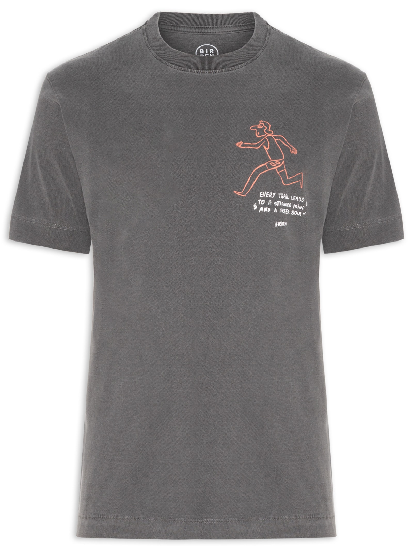 Camiseta Masculina Free Soul Cinza Birden