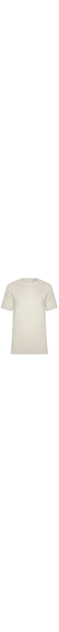 Camiseta Masculina Gola Redonda Em Tricot - Bege