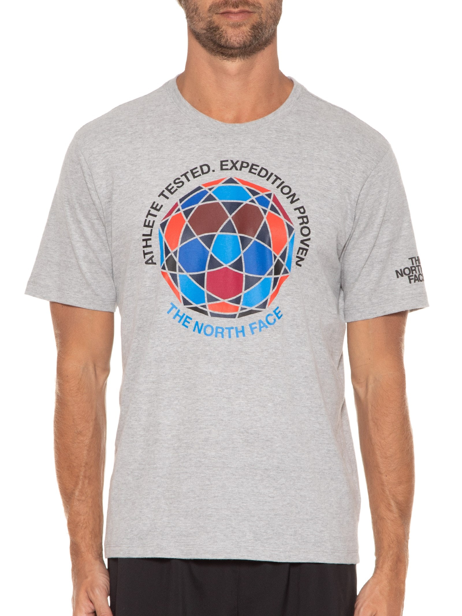 Camiseta Masculina Ic Cinza The North Face