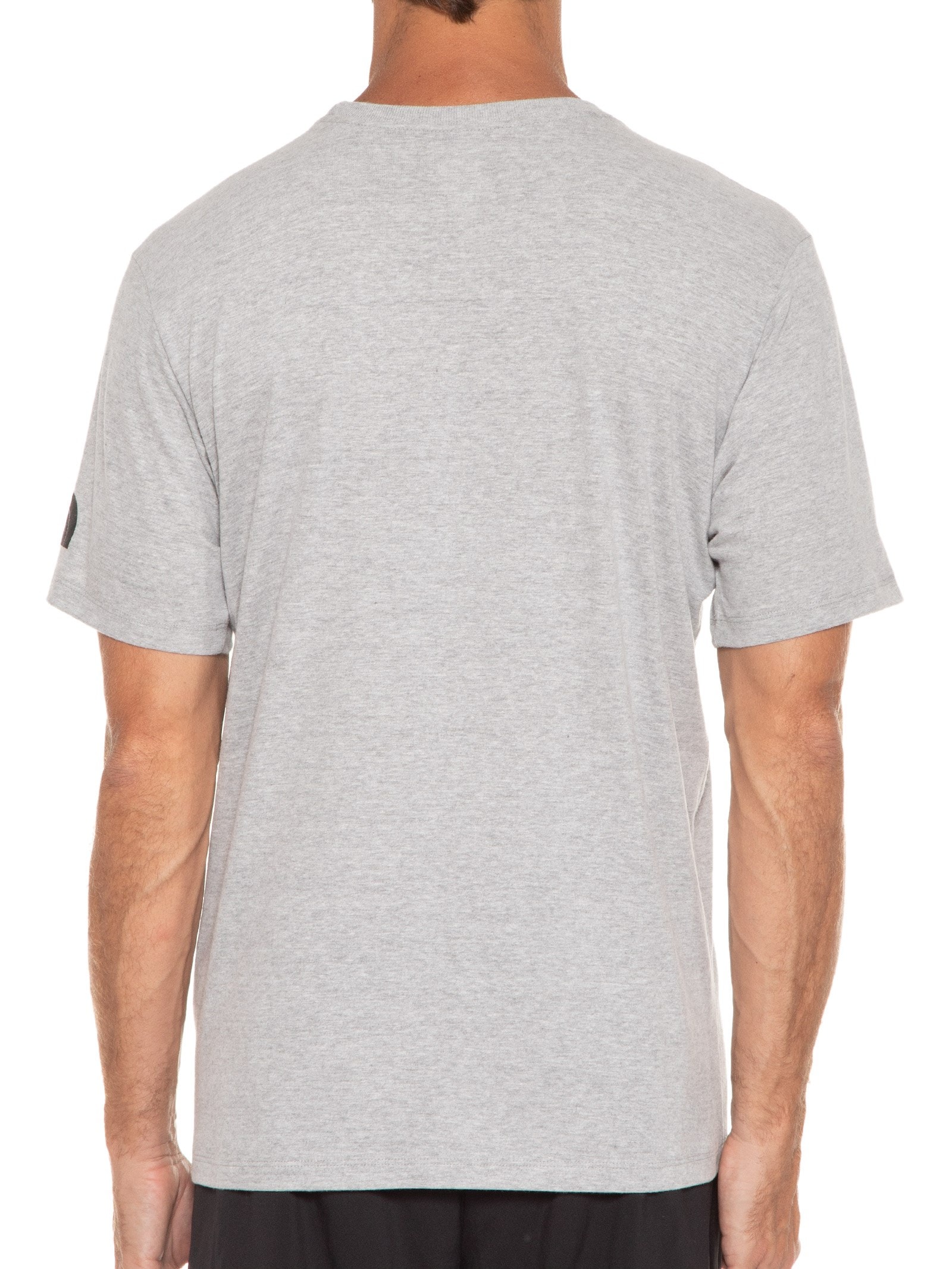 Camiseta Masculina Ic Cinza The North Face