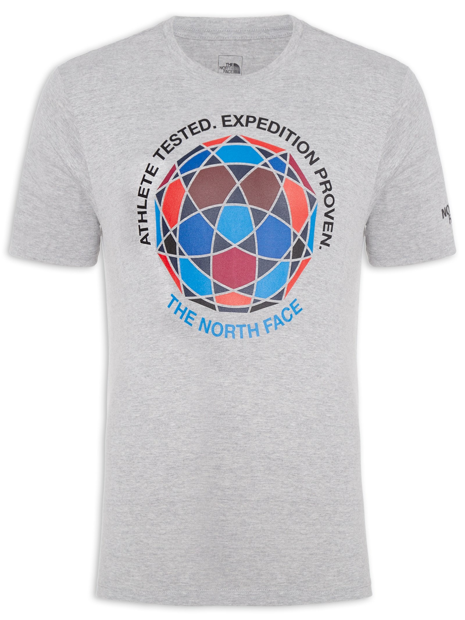 Camiseta Masculina Ic Cinza The North Face