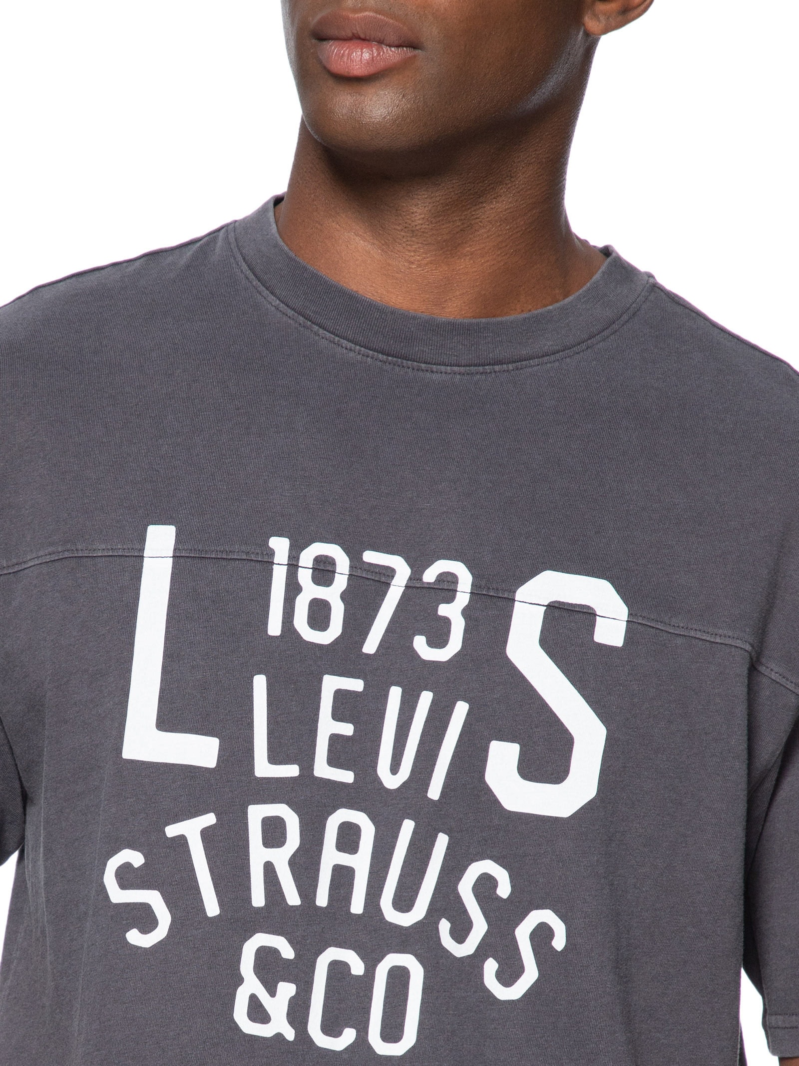 Camiseta Masculina Lockwood Practice Tee Cinza Levi's