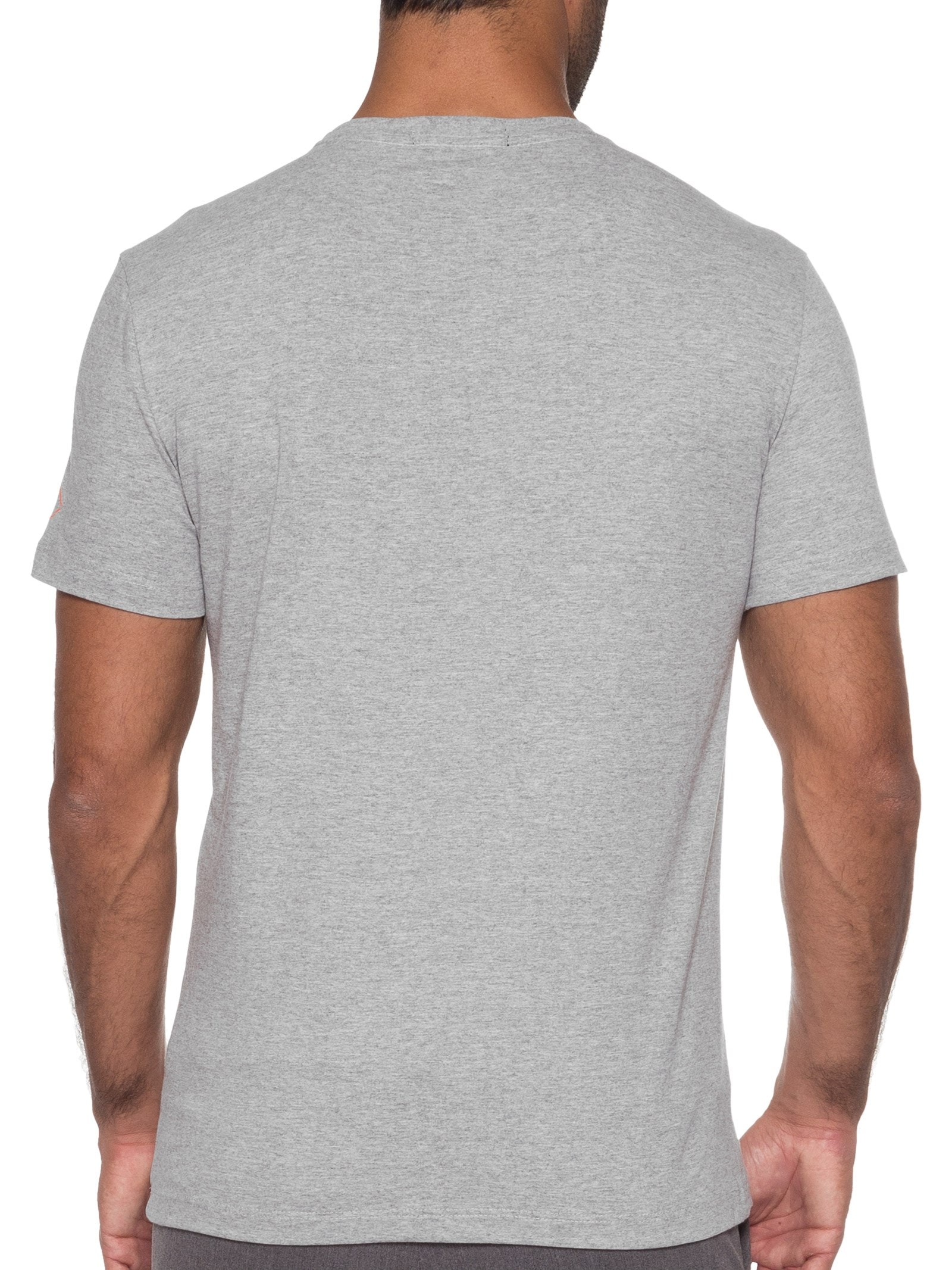 Camiseta Masculina Logo Box Cinza Replay