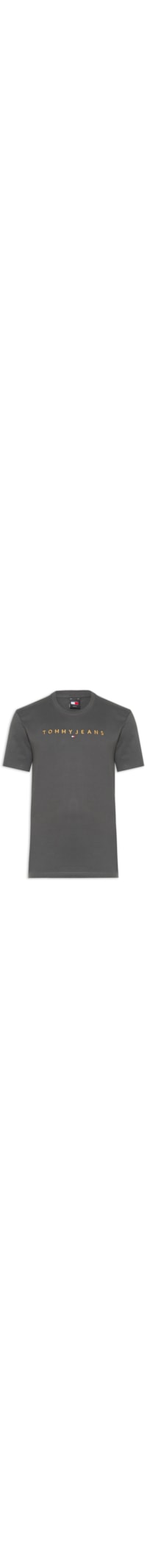 Camiseta Masculina Logo Linear Gold Regular Fit em Algodão - Cinza