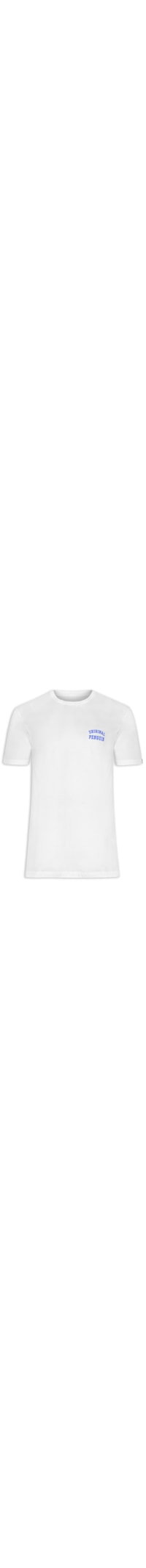 Camiseta Masculina Malha Algodão - Branco