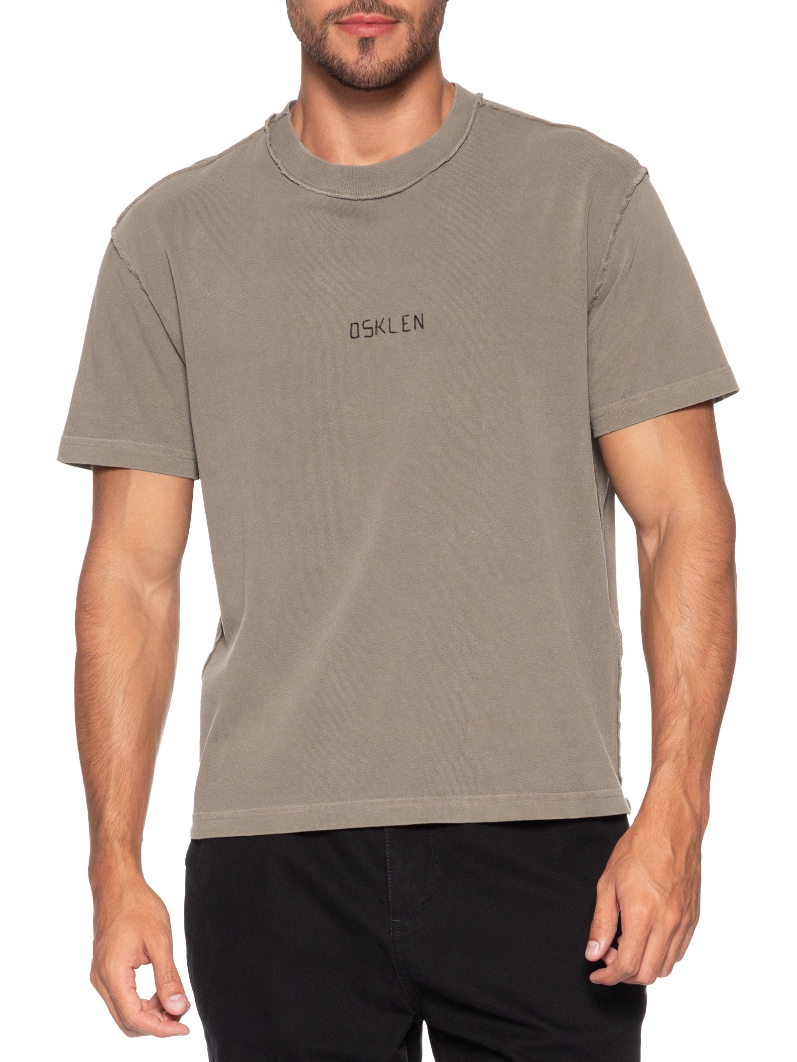 Camiseta Masculina Manga Curta Avesso Bordado Marrom Osklen