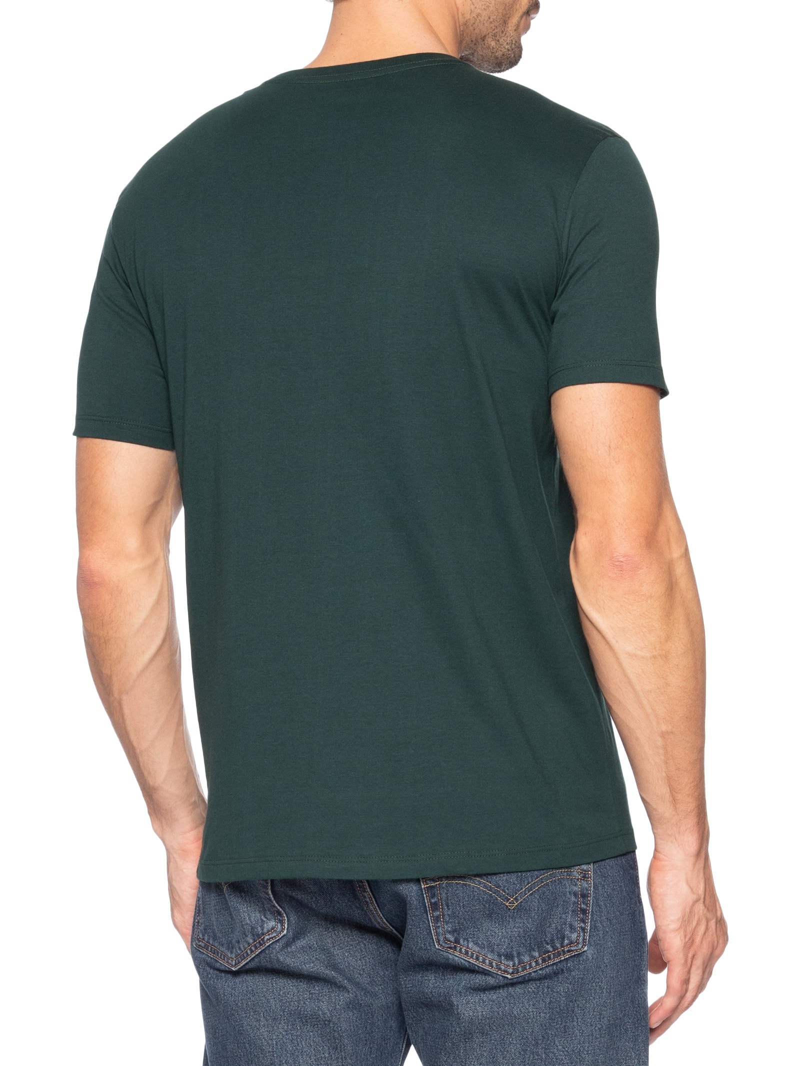 Camiseta Masculina Manga Curta Established Verde Calvin Klein Jeans