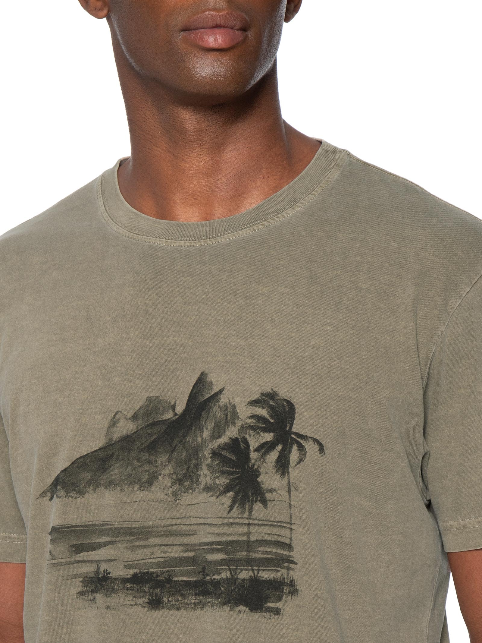 Camiseta Masculina Manga Curta Gola Careca 2 Irmãos Marrom Osklen