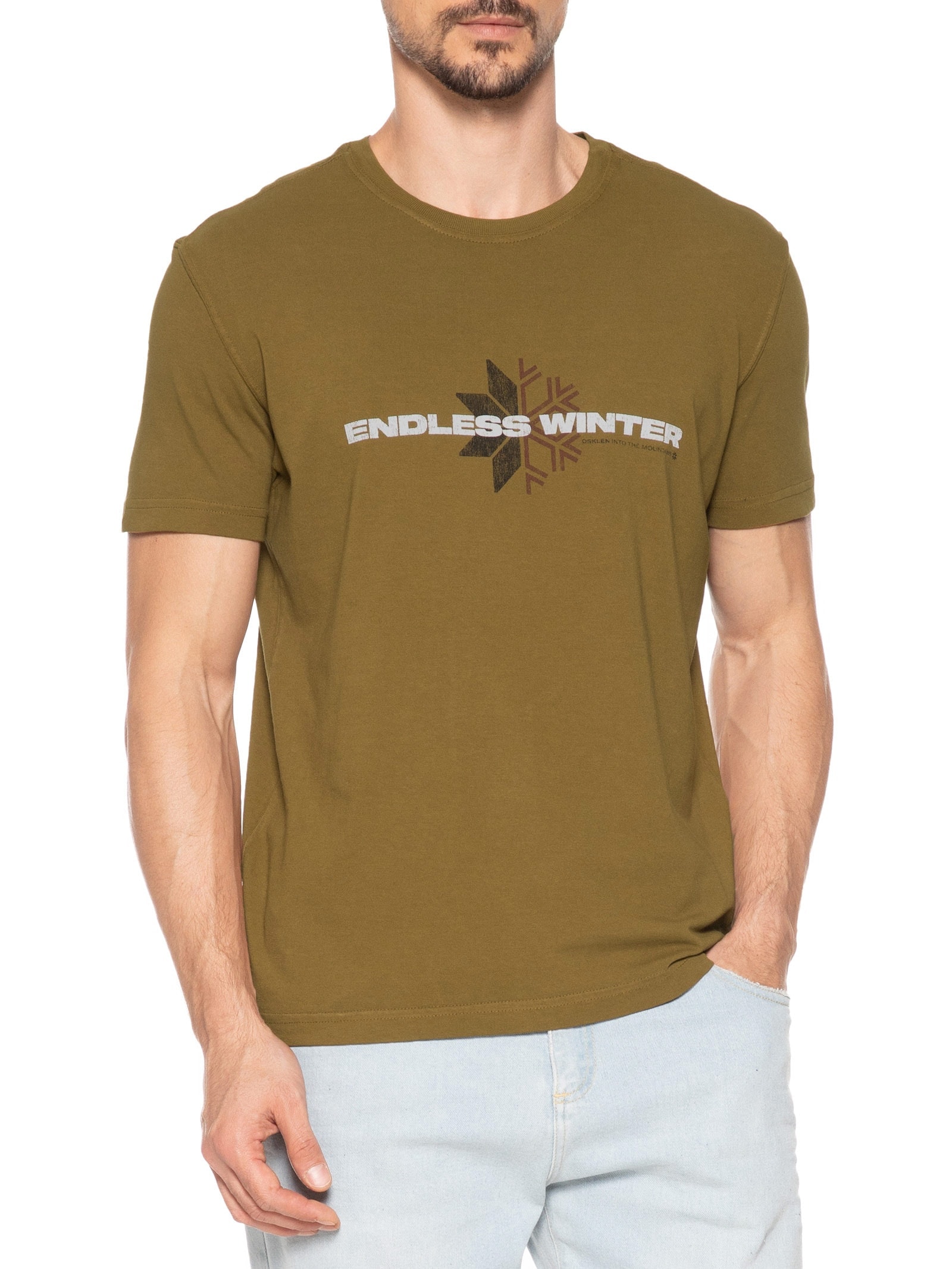Camiseta Masculina Manga Curta Gola Careca Double Endless Winter Marrom Osklen