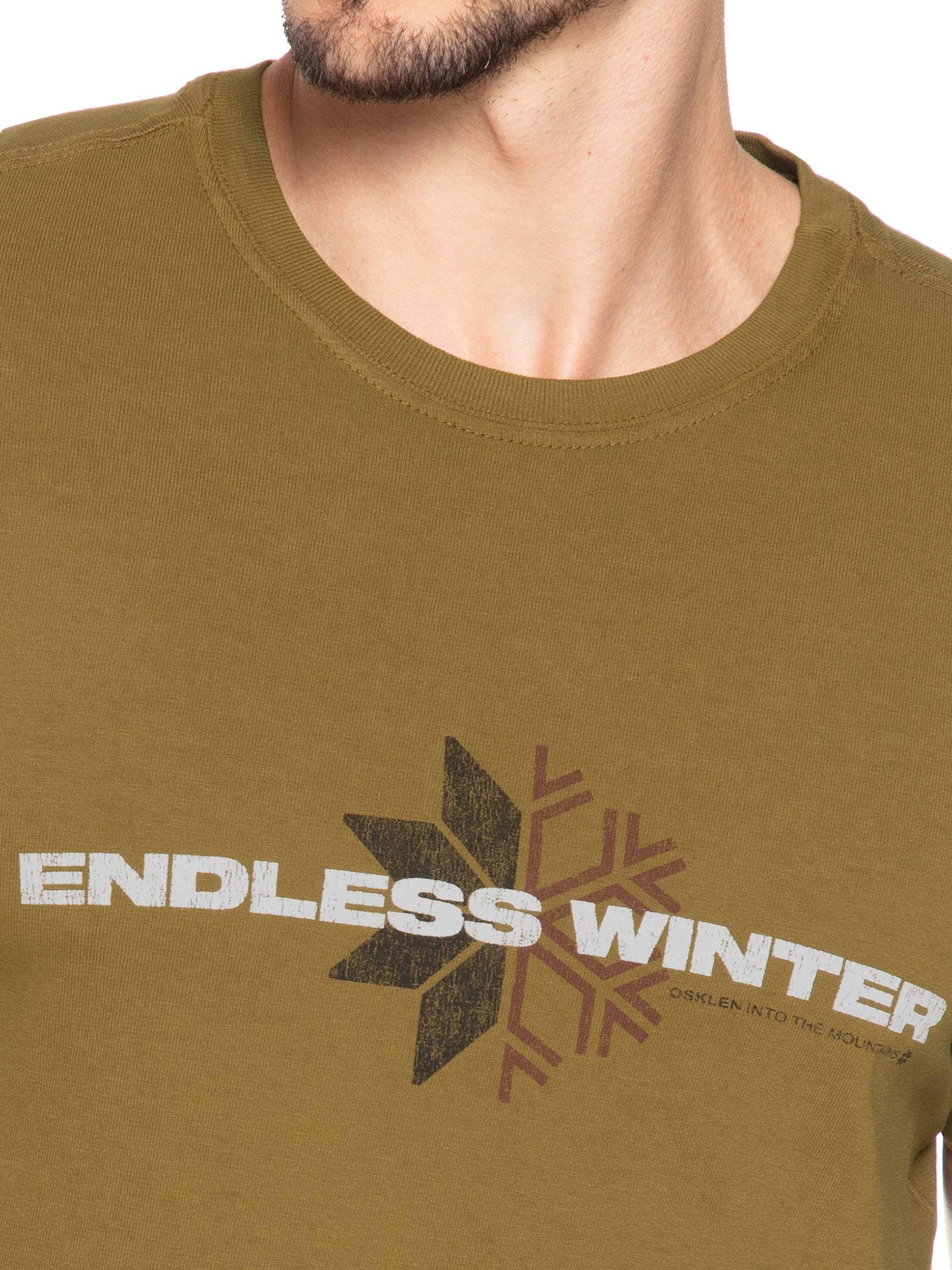 Camiseta Masculina Manga Curta Gola Careca Double Endless Winter Marrom Osklen