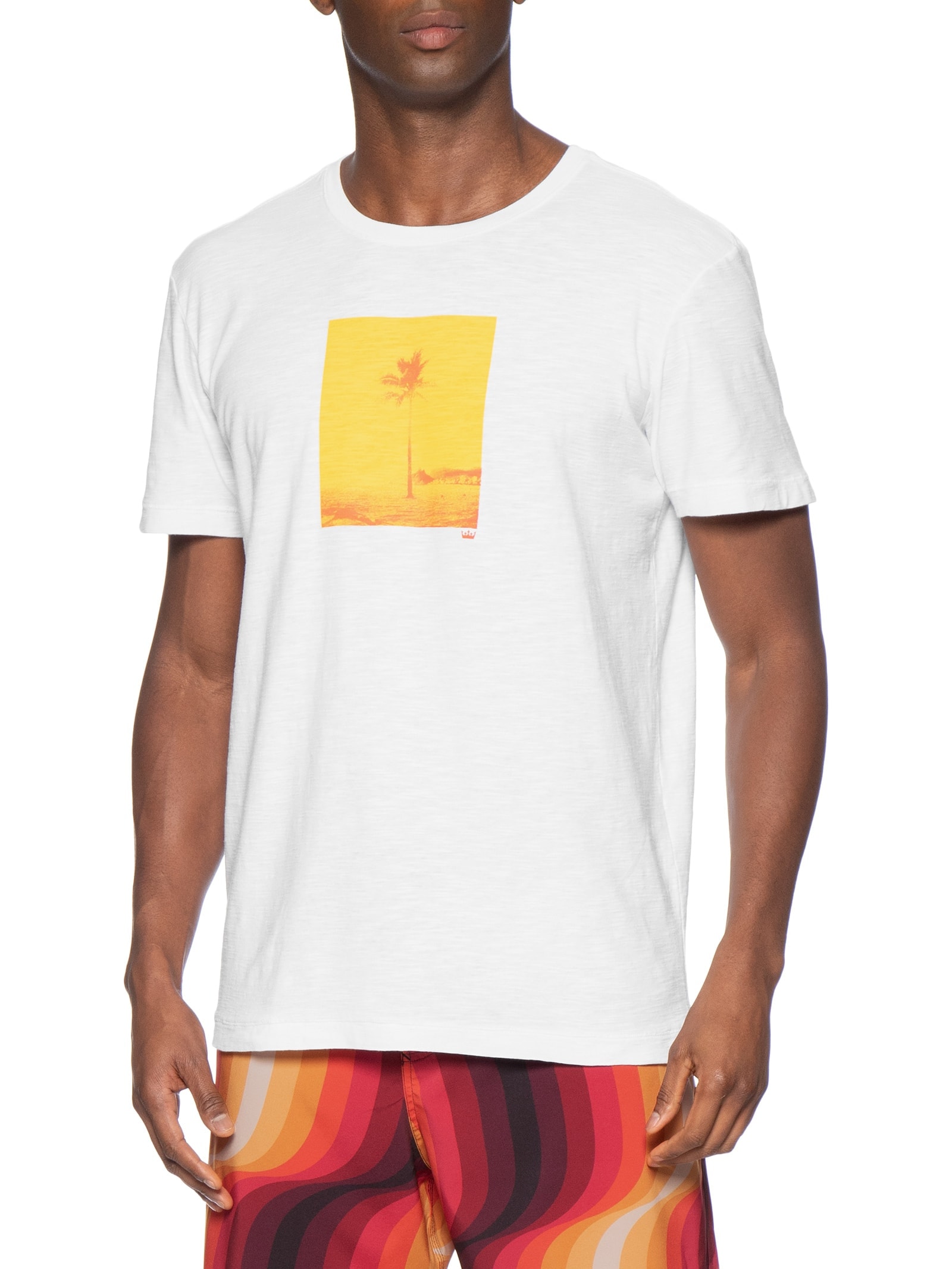 Camiseta Masculina Manga Curta Gola Careca Rough Rio Postcard Slim Branco Osklen