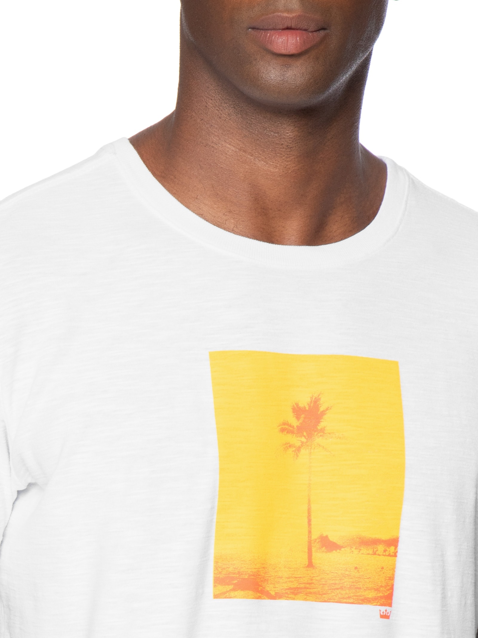 Camiseta Masculina Manga Curta Gola Careca Rough Rio Postcard Slim Branco Osklen