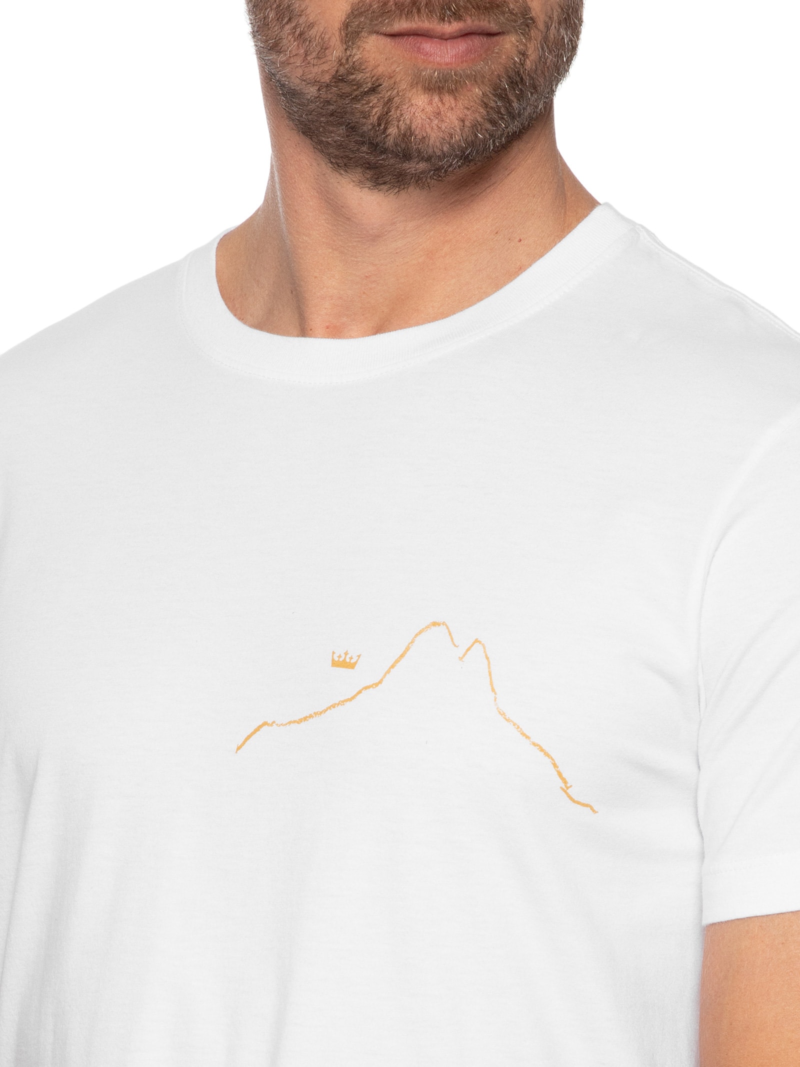 Camiseta Masculina Manga Curta Gola Careca Slim Stone Srfng Scribble Branco Osklen