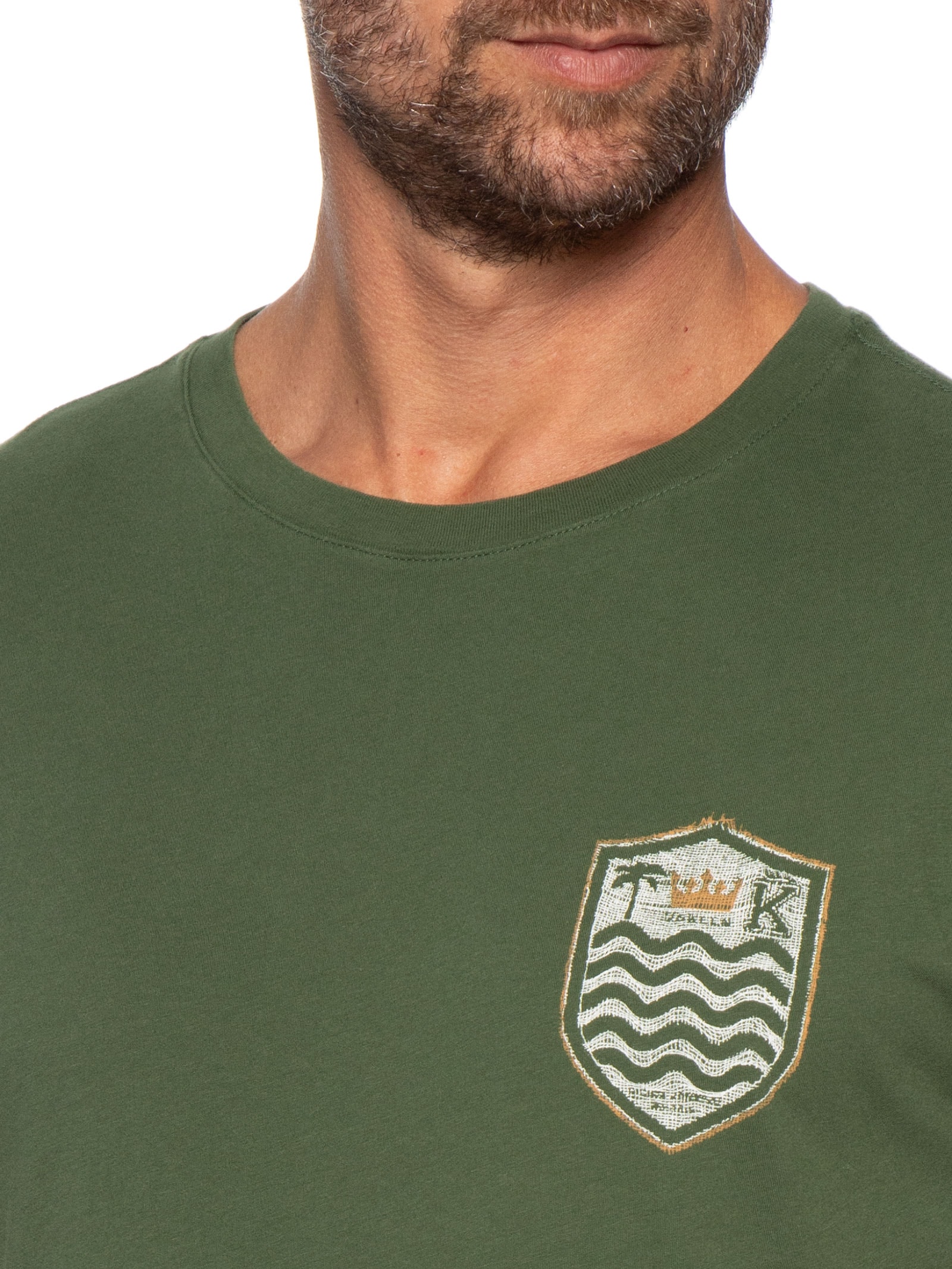 Camiseta Masculina Manga Curta Gola Careca Soft Used Brasão Gaze Verde Osklen