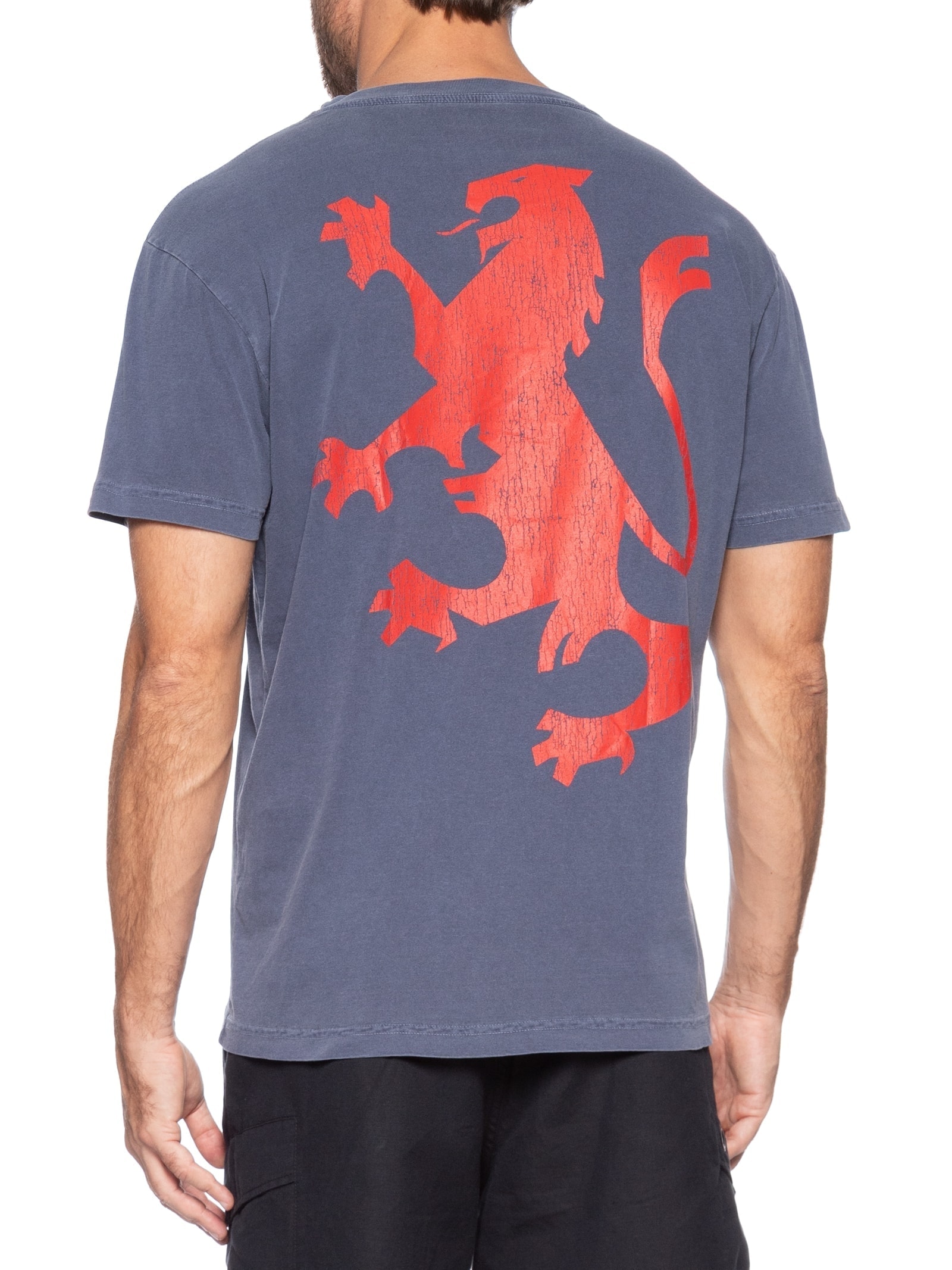 Camiseta Masculina Manga Curta Gola Careca Stone Leao Azul Osklen