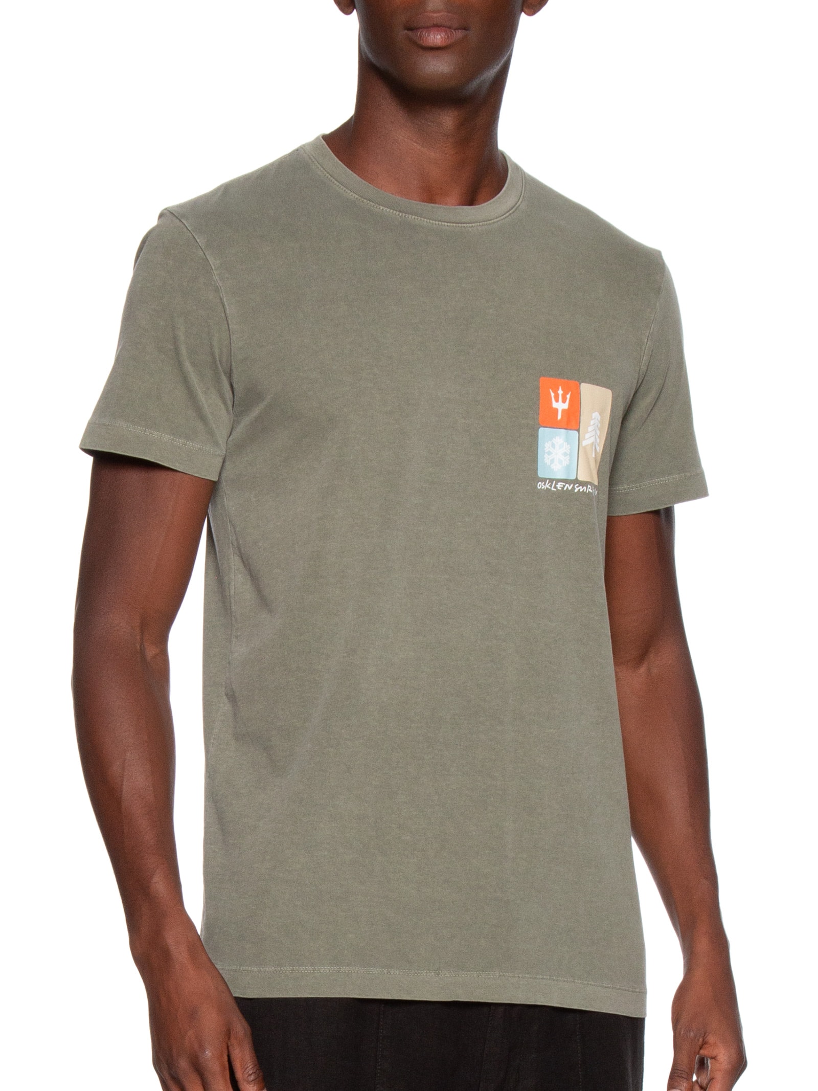 Camiseta Masculina Manga Curta Gola Careca Stone Snow Icons Verde Osklen