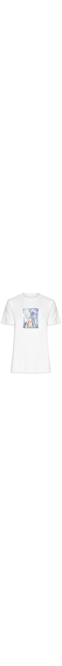 Camiseta Masculina Manga Curta Gola Careca Winter Surf Snow - Branco