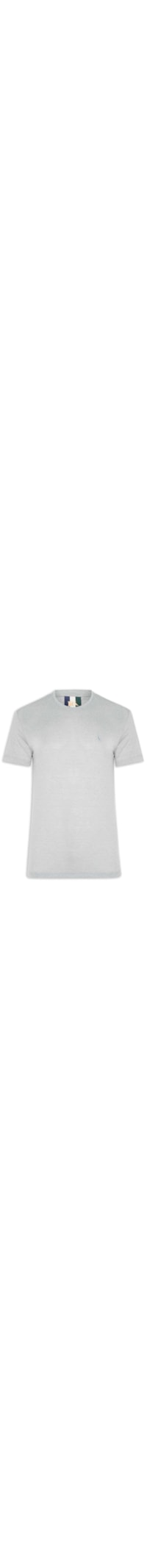 Camiseta Masculina Manga Curta Mescla - Cinza