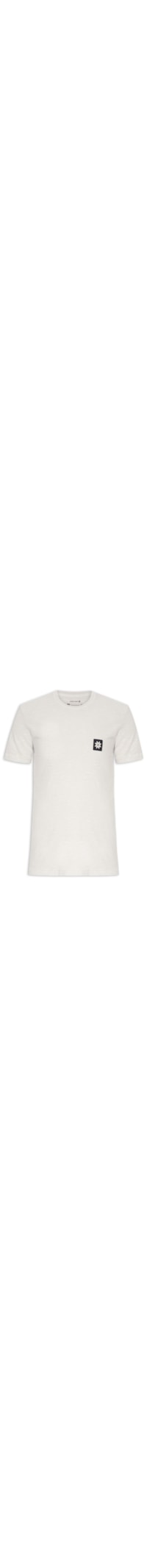 Camiseta Masculina Manga Curta Rough Snow Clinic - Cinza