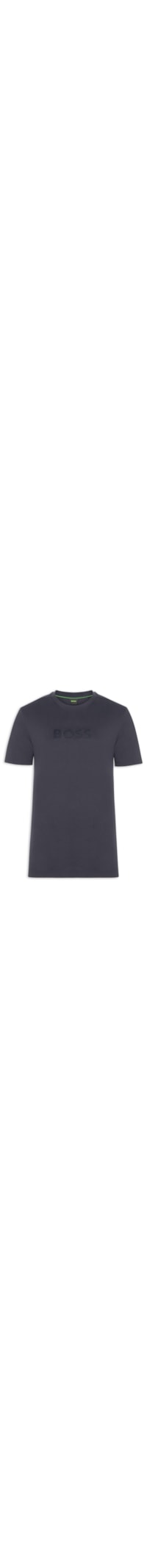 Camiseta Masculina Manga Curta TS Terrace Logo - Azul