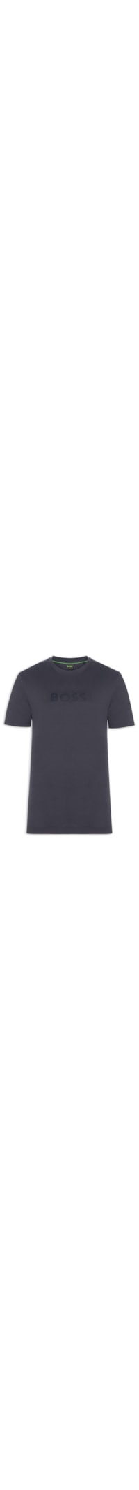 Camiseta Masculina Manga Curta TS Terrace Logo - Azul