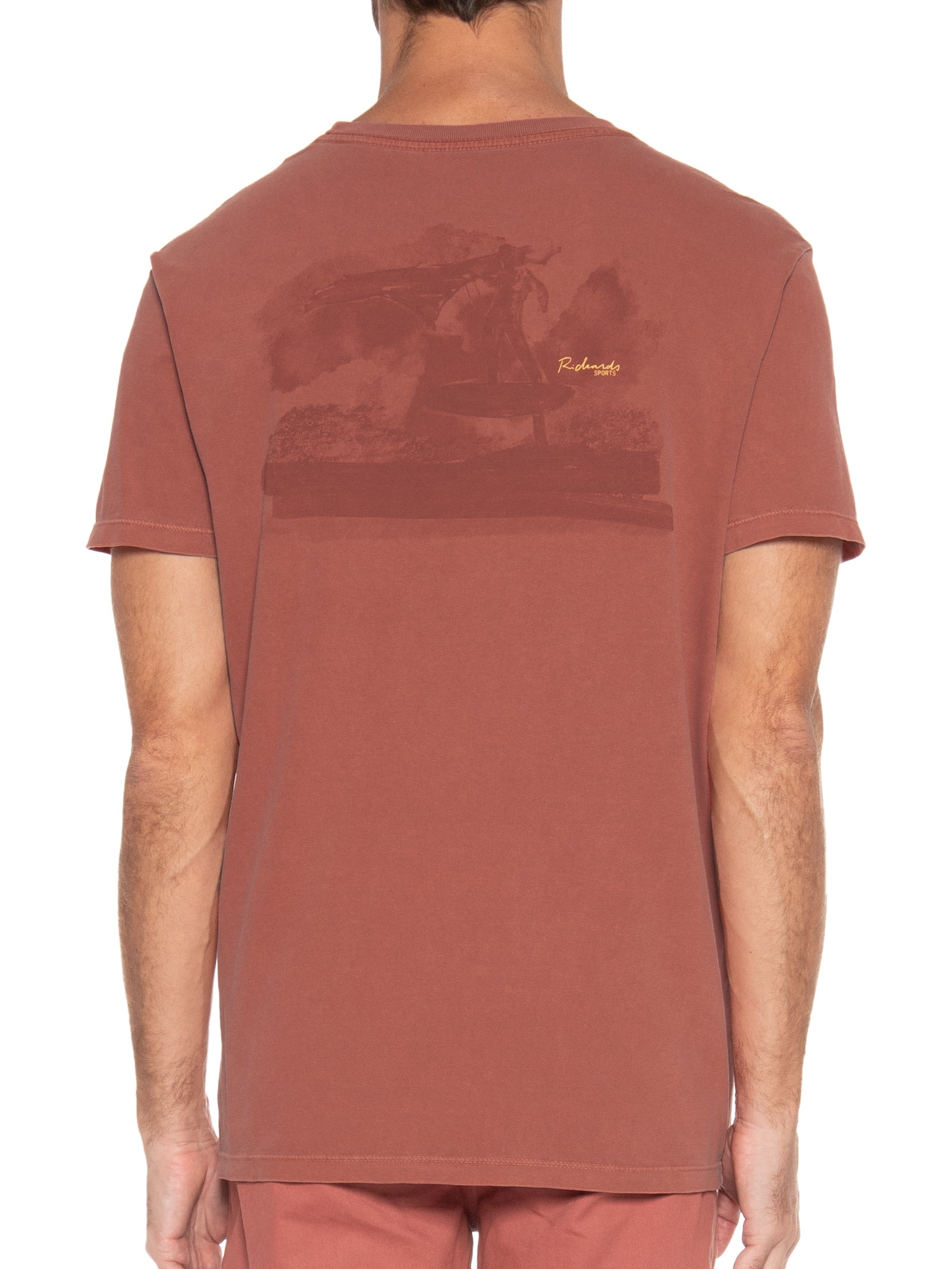 Camiseta Masculina Manga Curta Washed Wingfoil Vermelho Richards