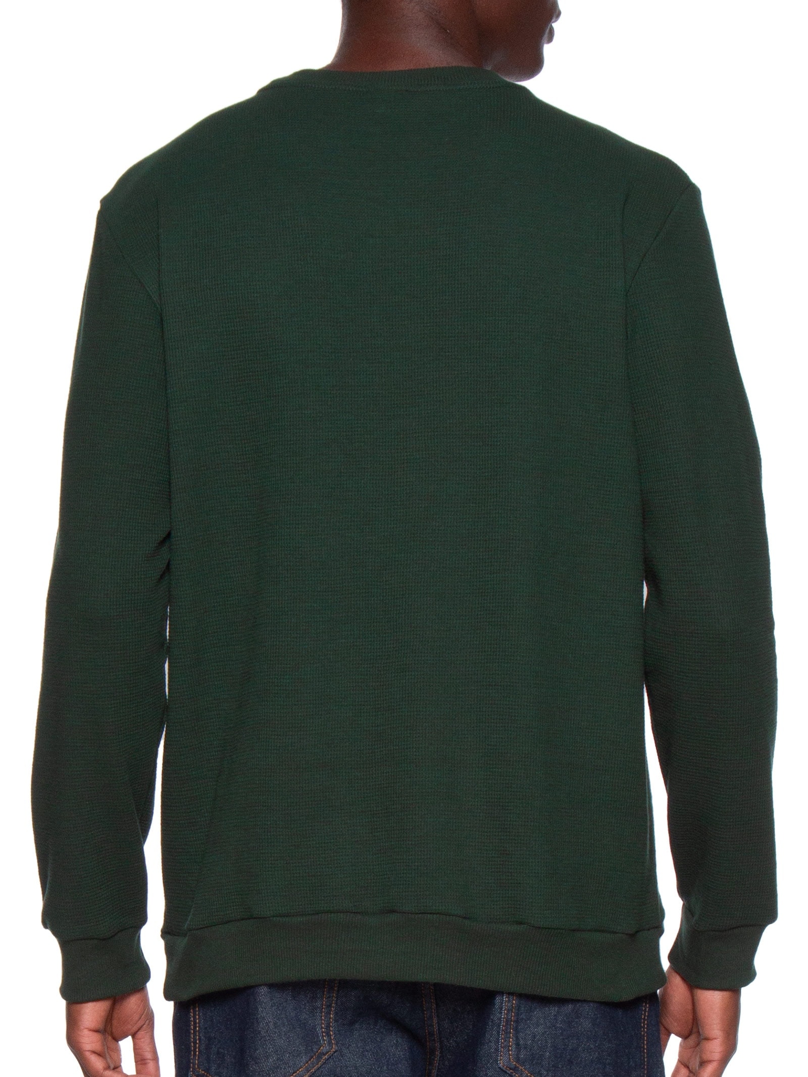 Camiseta Masculina Manga Longa Regular Verde Hering