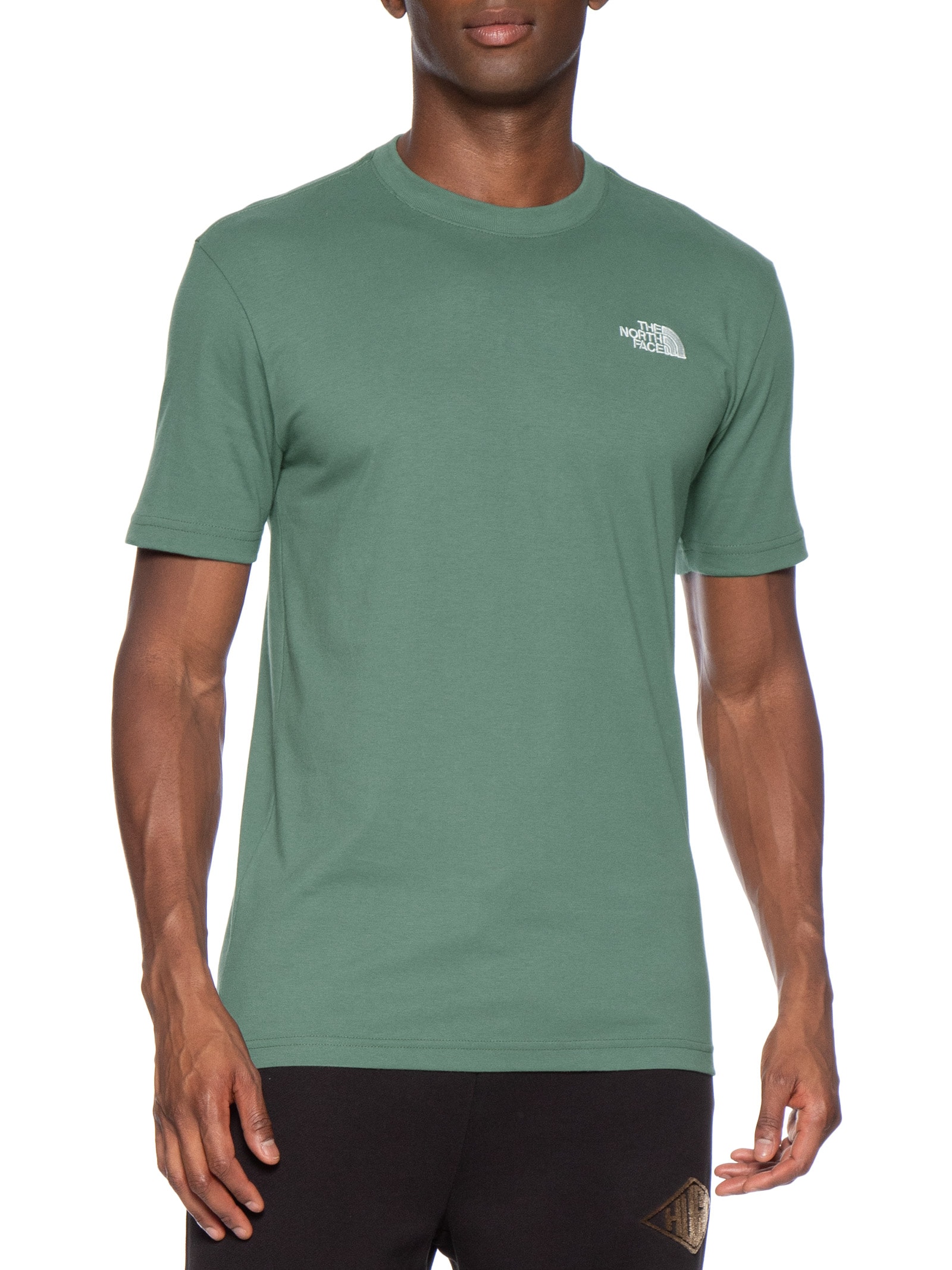 Camiseta Masculina Mc Evolution Tee Verde The North Face