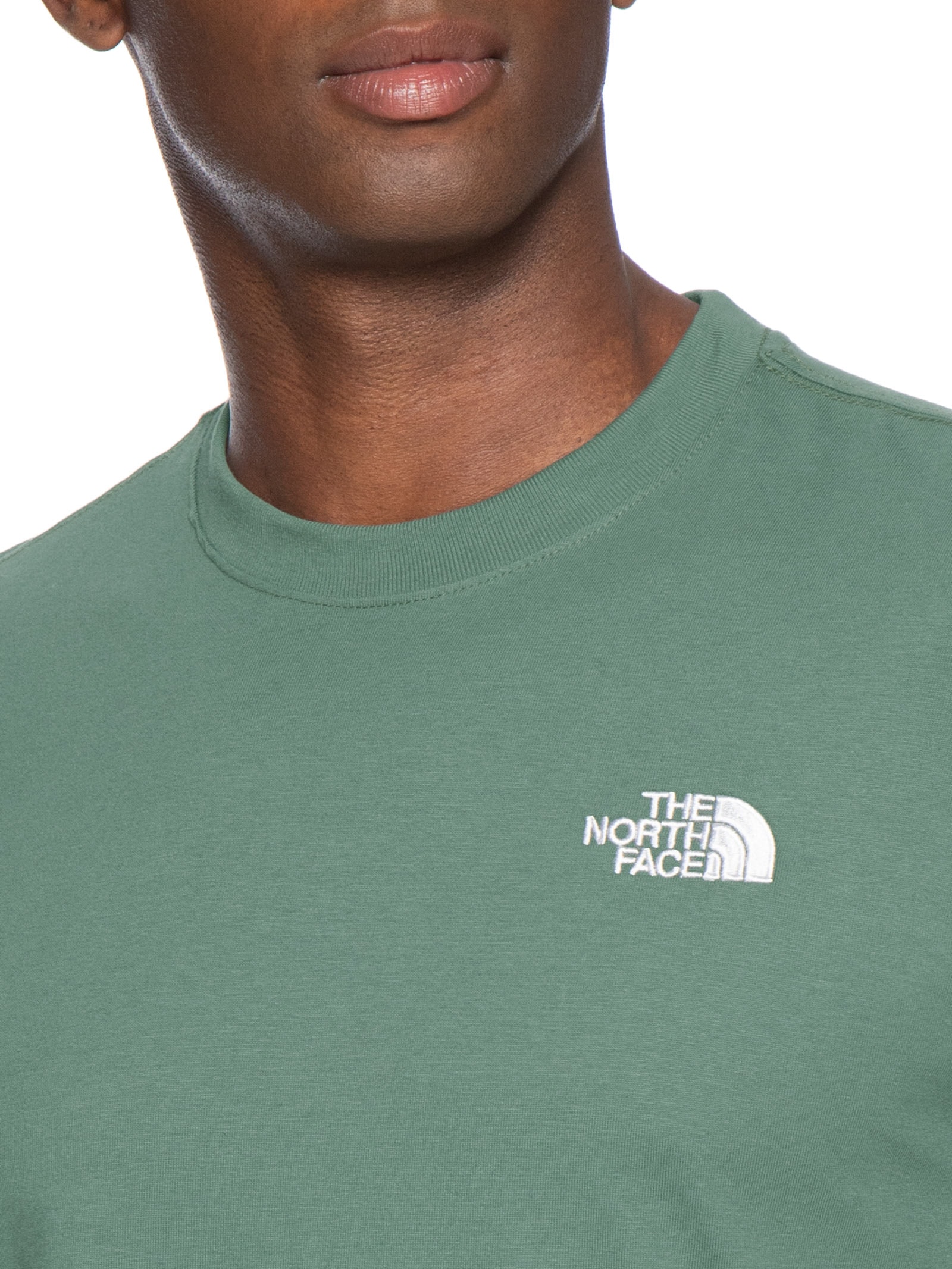 Camiseta Masculina Mc Evolution Tee Verde The North Face