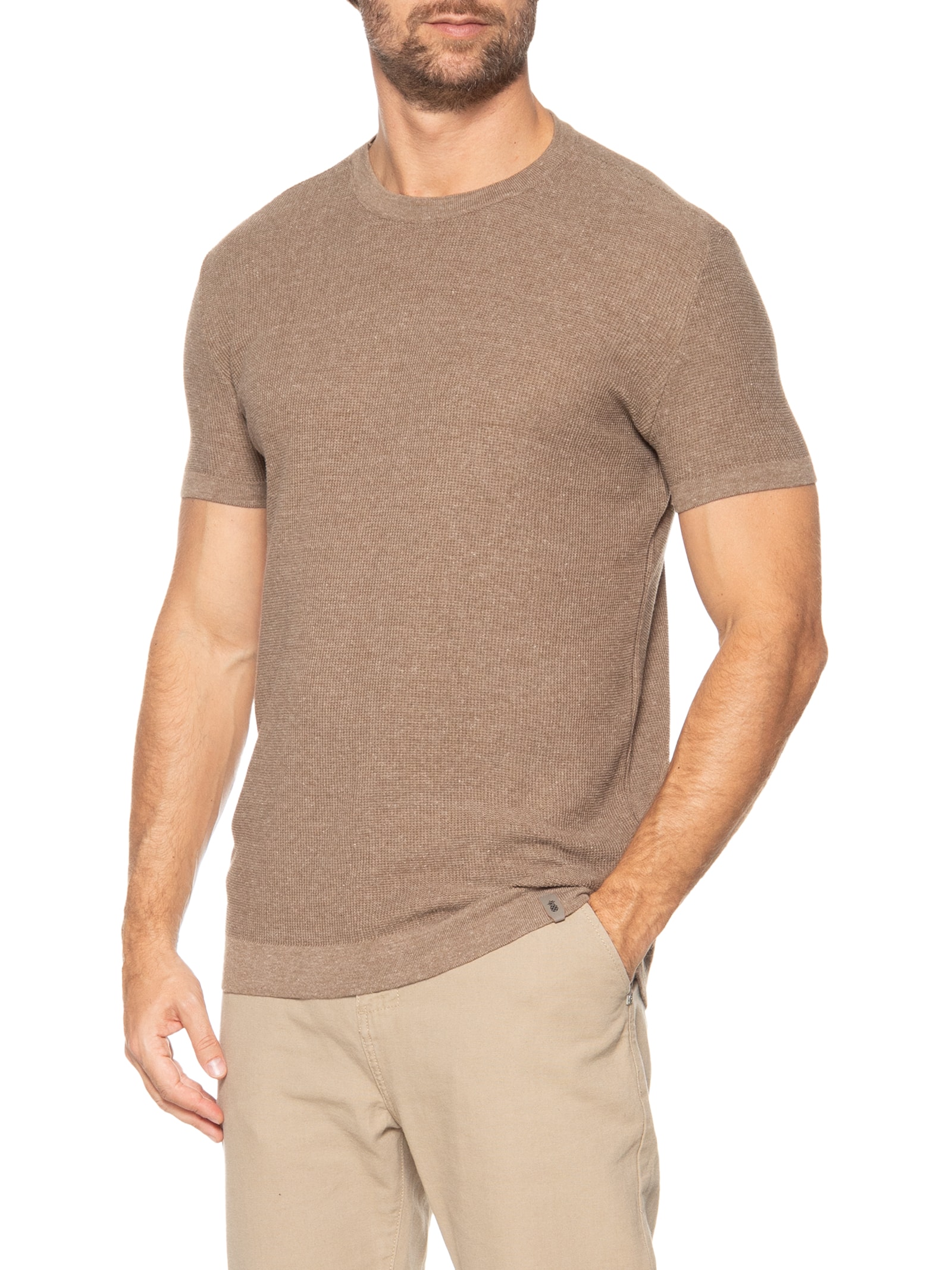 The Taste Of A Man 32cm×41cm Pineapple - Camiseta Masculina Micro Quadrilé Em Tricot - Bege