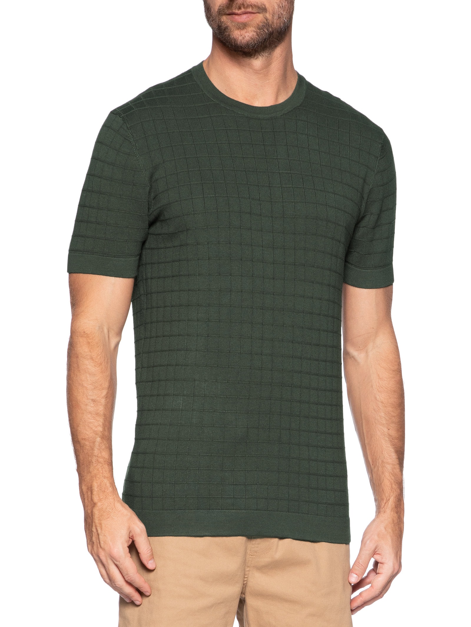 Camiseta Masculina Mini Grid Tricot – Verde Aramis
