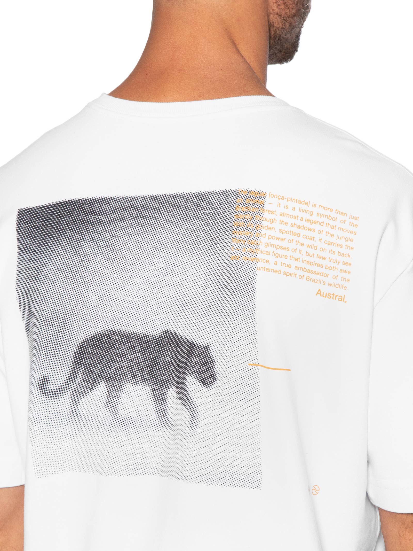 Camiseta Masculina Oversized Estampa Legend II Branco Austral