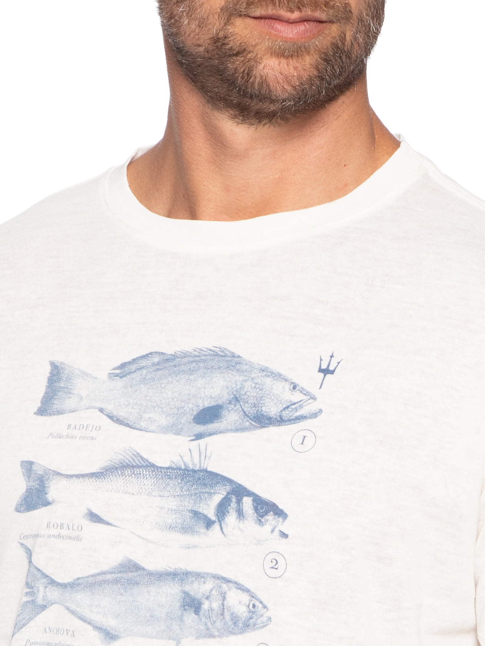 Camiseta Masculina Peixes Species Caiçara Branco Osklen