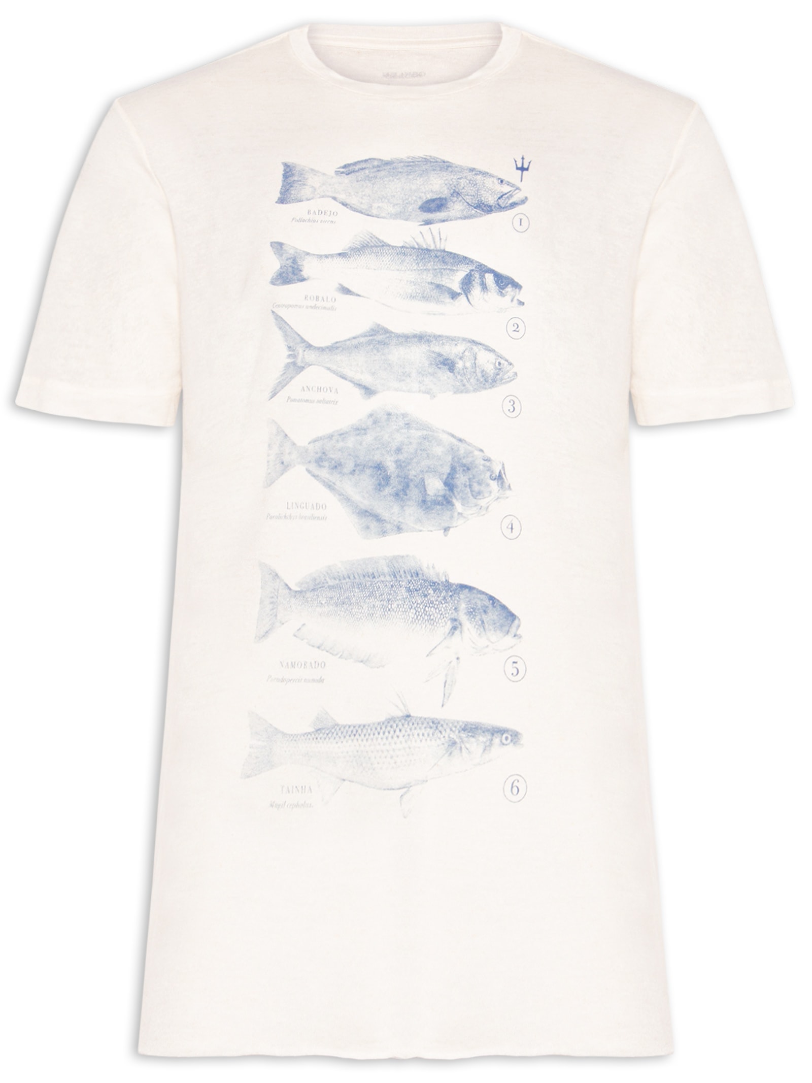 Camiseta Masculina Peixes Species Caiçara Branco Osklen