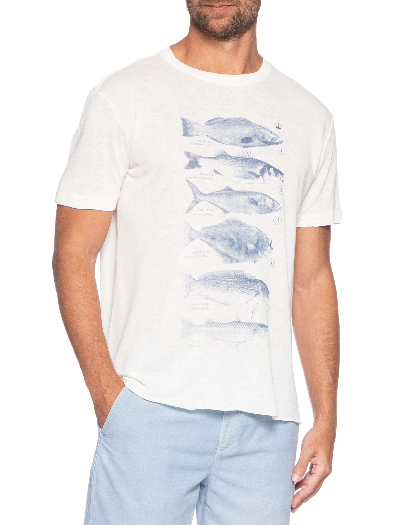 Camiseta Masculina Peixes Species Caiçara Branco Osklen