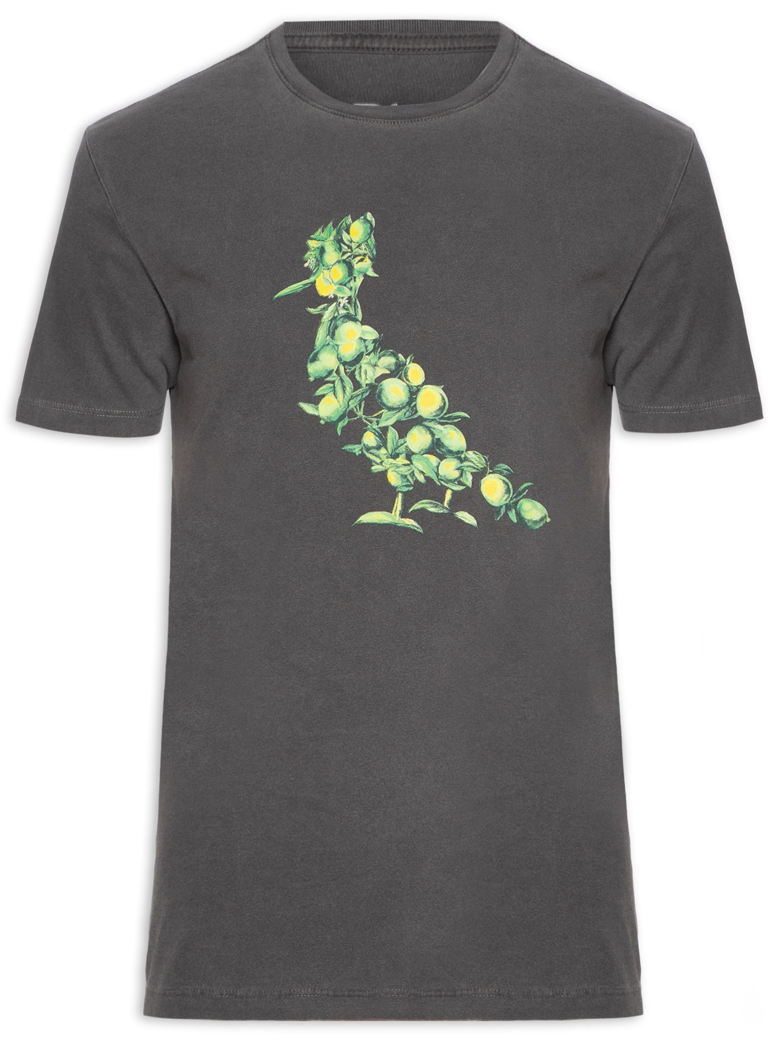 Camiseta Masculina Pica Pau Citric Summer Cinza Reserva