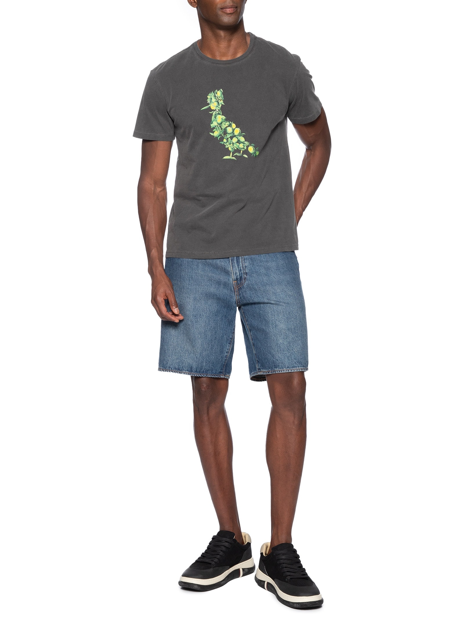 Camiseta Masculina Pica Pau Citric Summer Cinza Reserva
